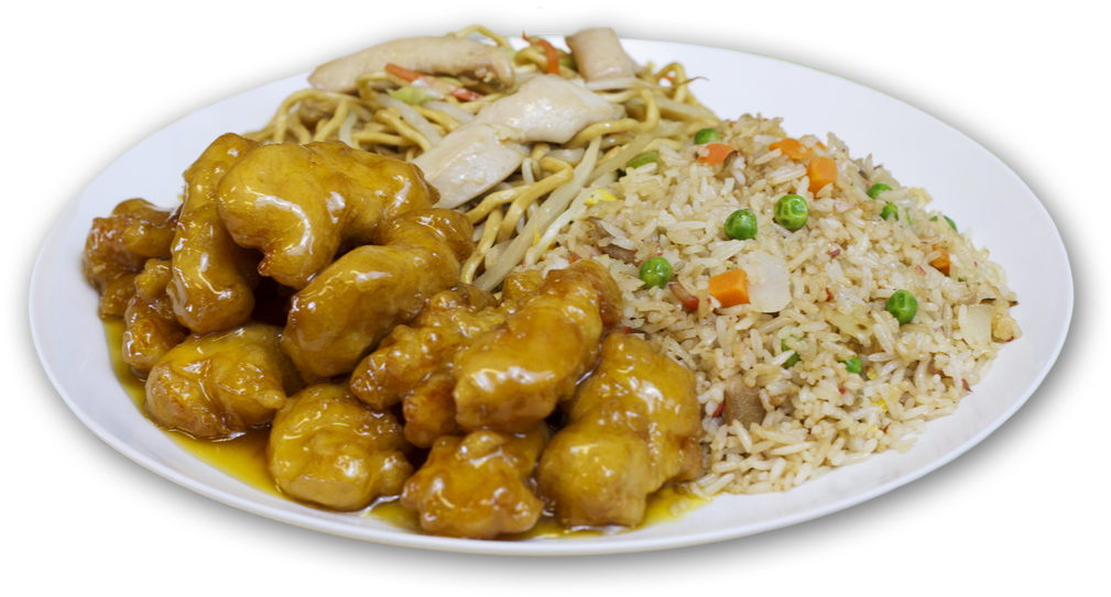 Chinese Takeout Combo Plate PNG