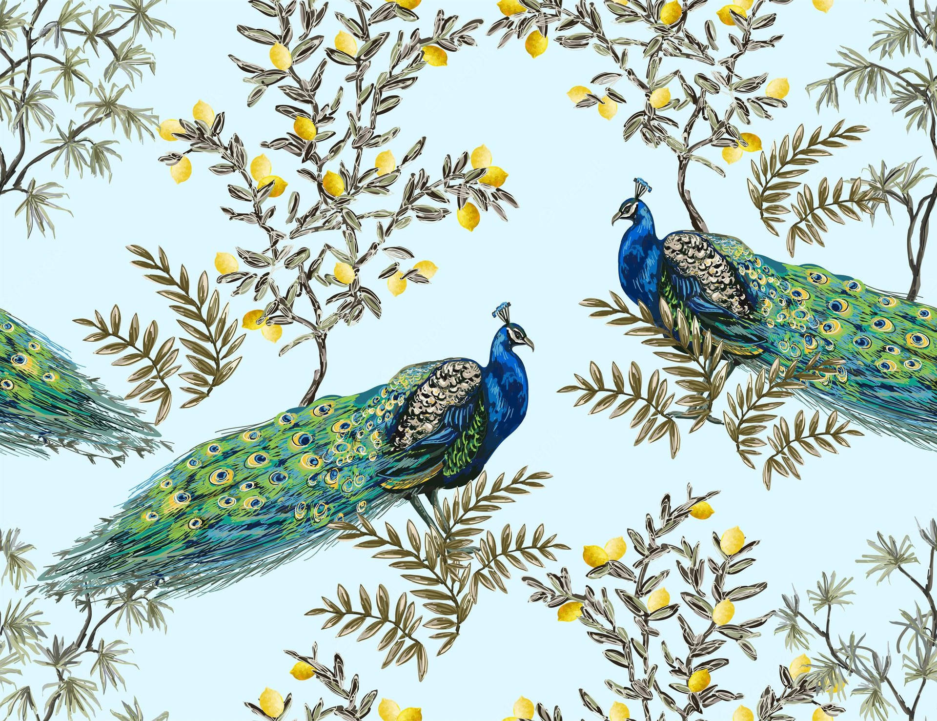 Chinoiserie Påfugle i Blå Tie-Dye Wallpaper
