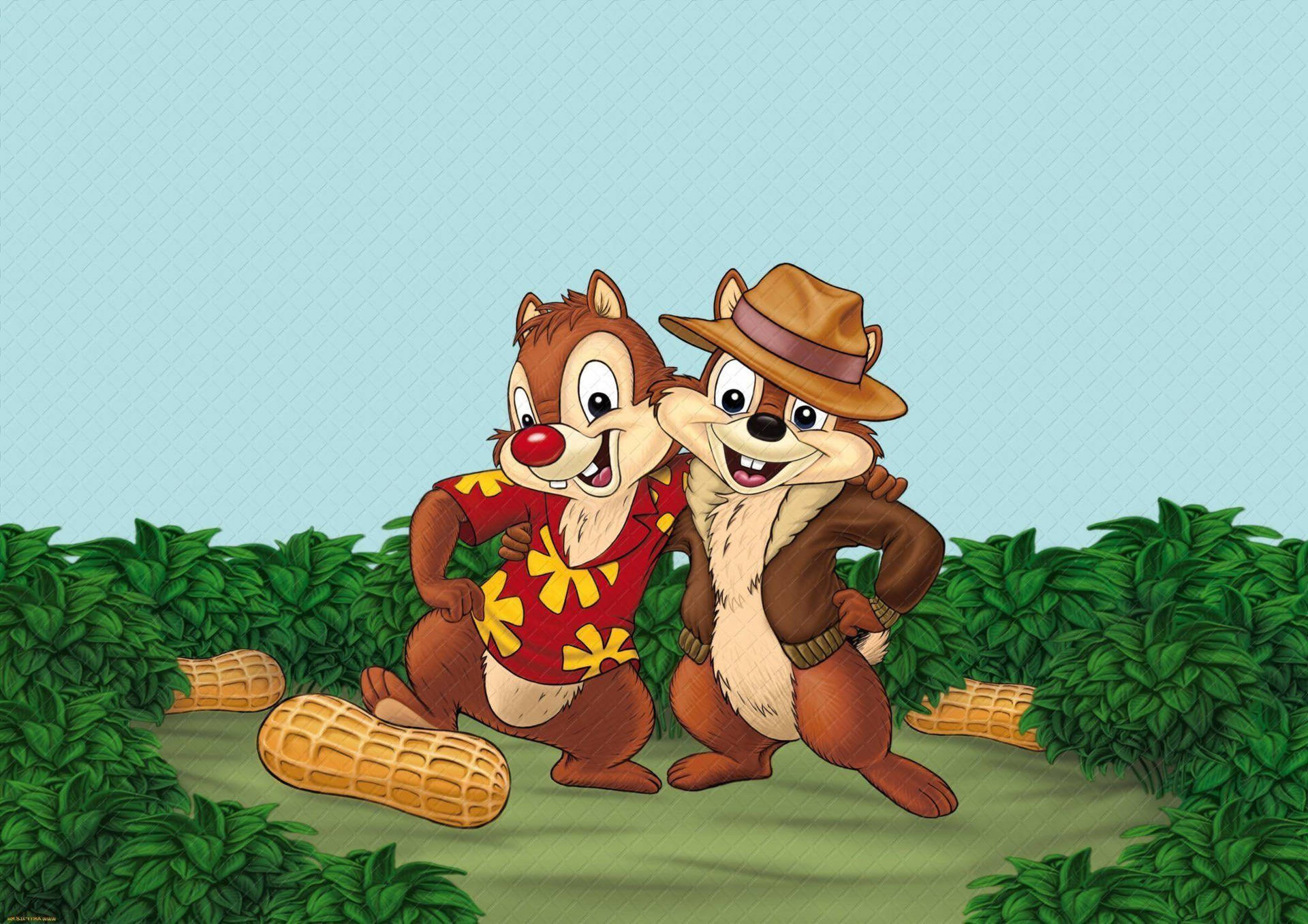 Chip N Dale In A Garden Picture