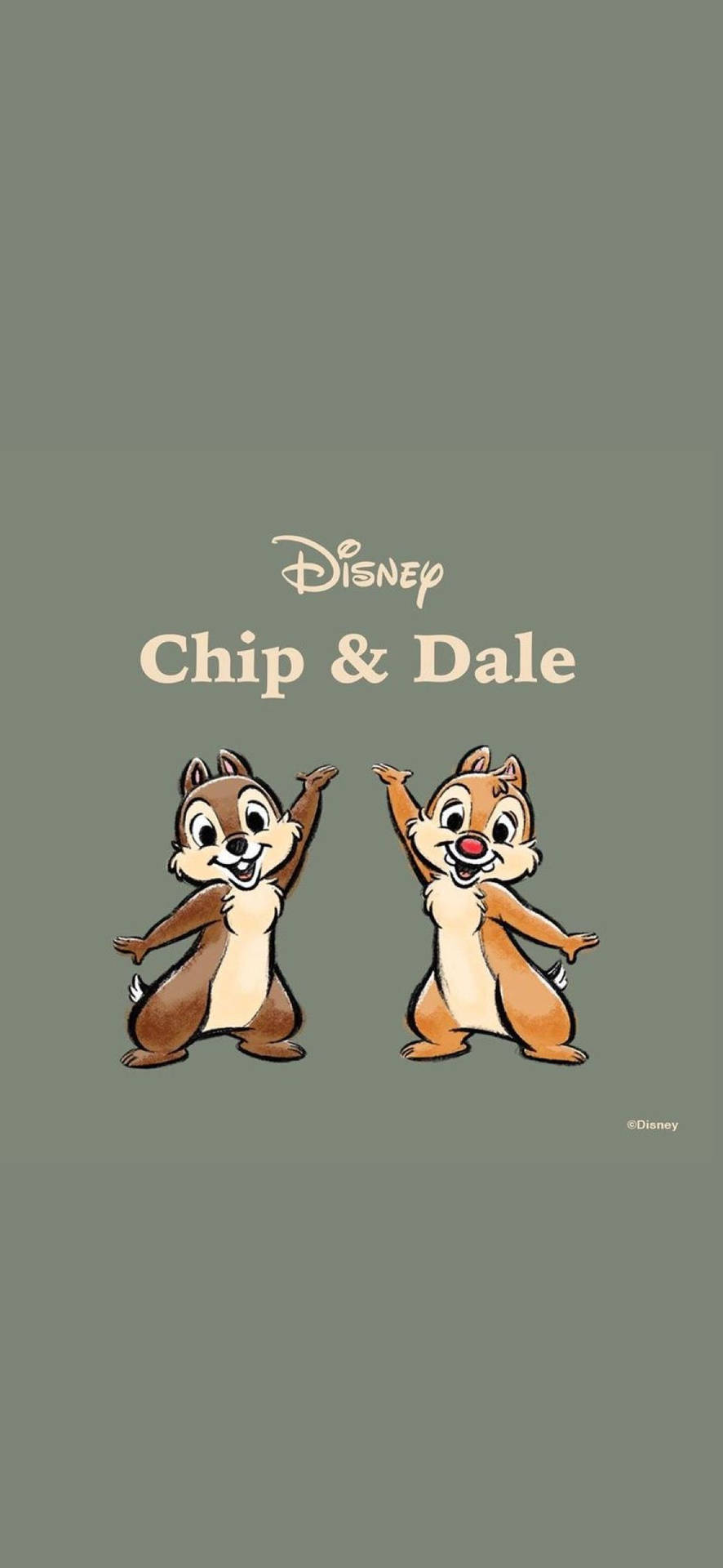 Chip N Dale On Gray Backdrop Picture