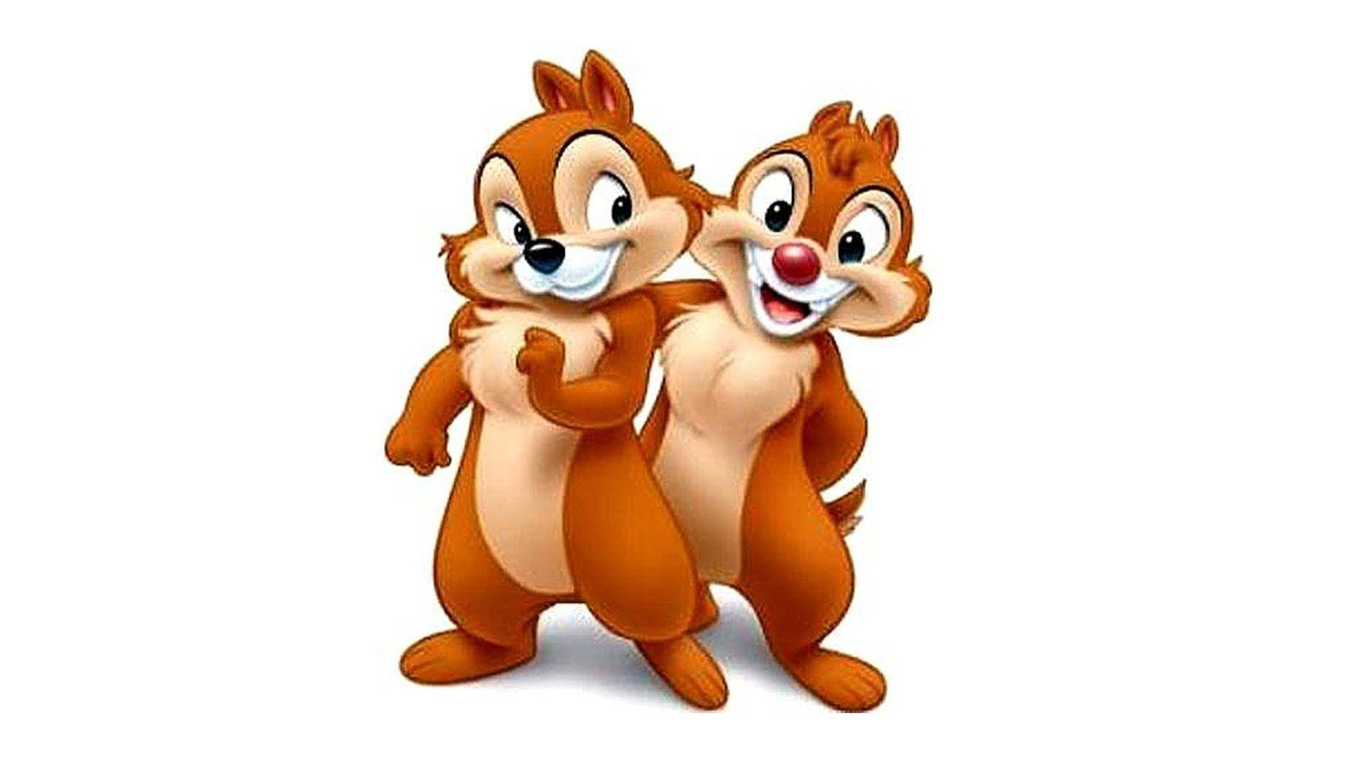 Chip N Dale On White Backdrop Picture