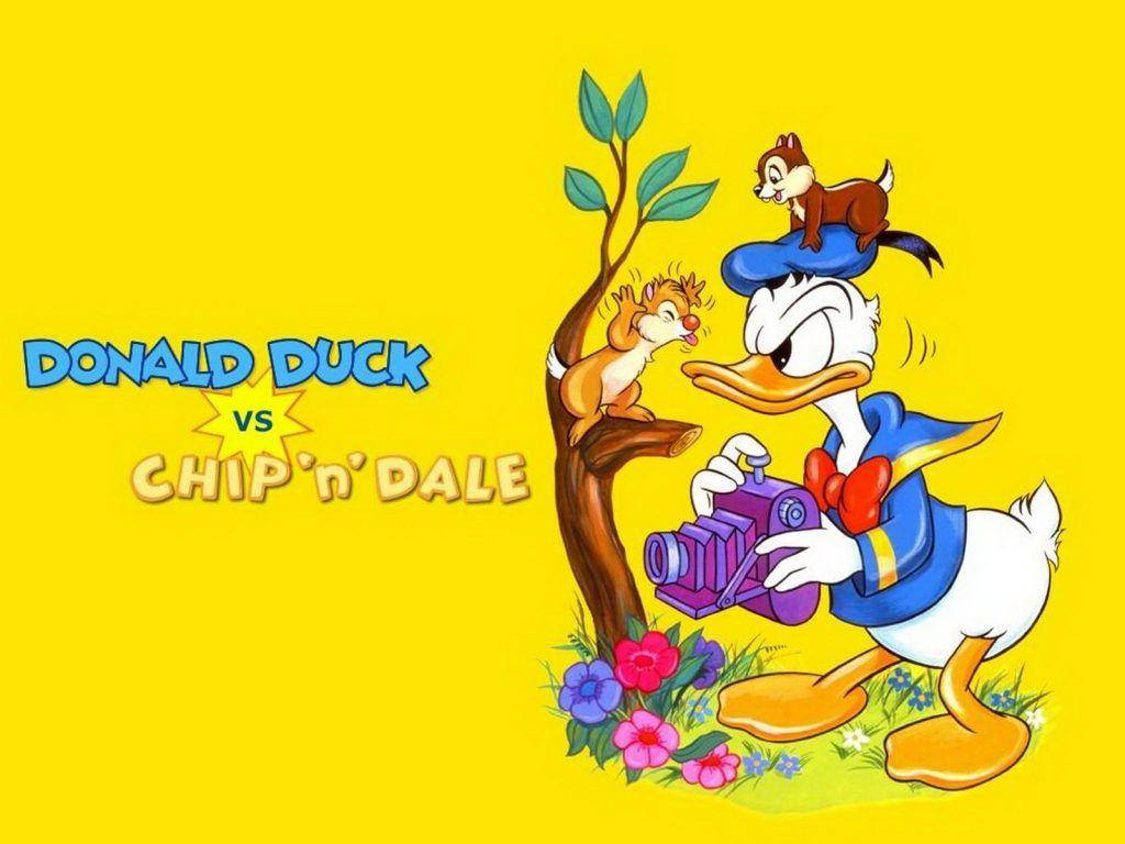 Chip N Dale On Yellow Background Picture