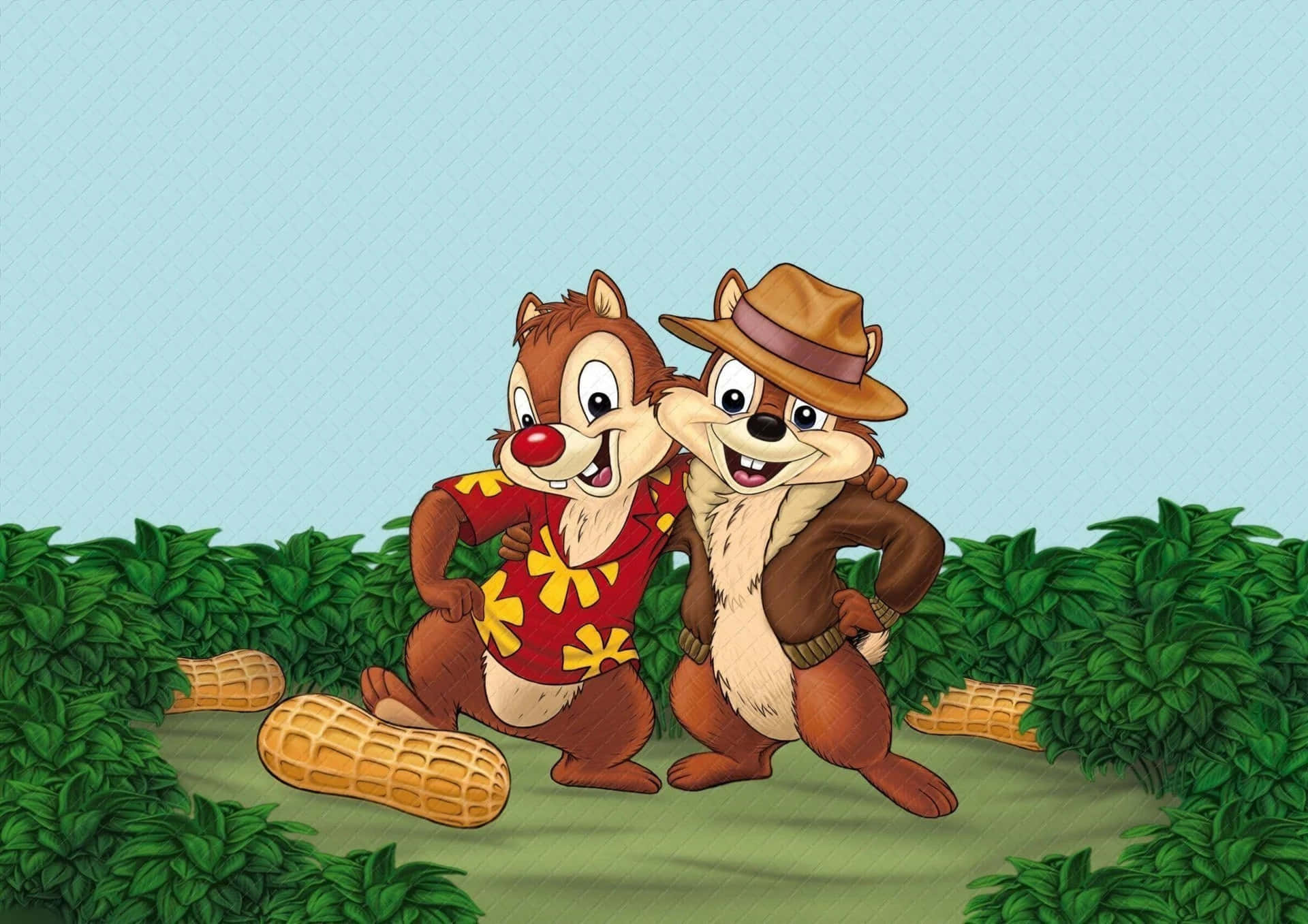 Fun and Furry Friends Chip and Dale