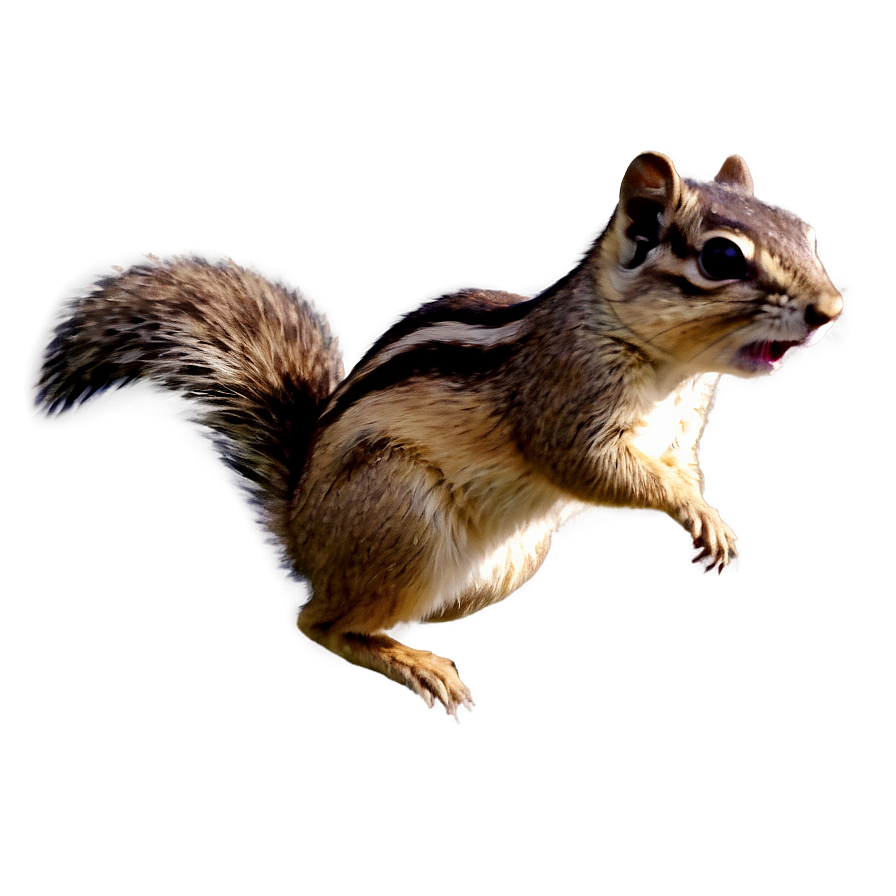 Chipmunk Running Png Gpc PNG