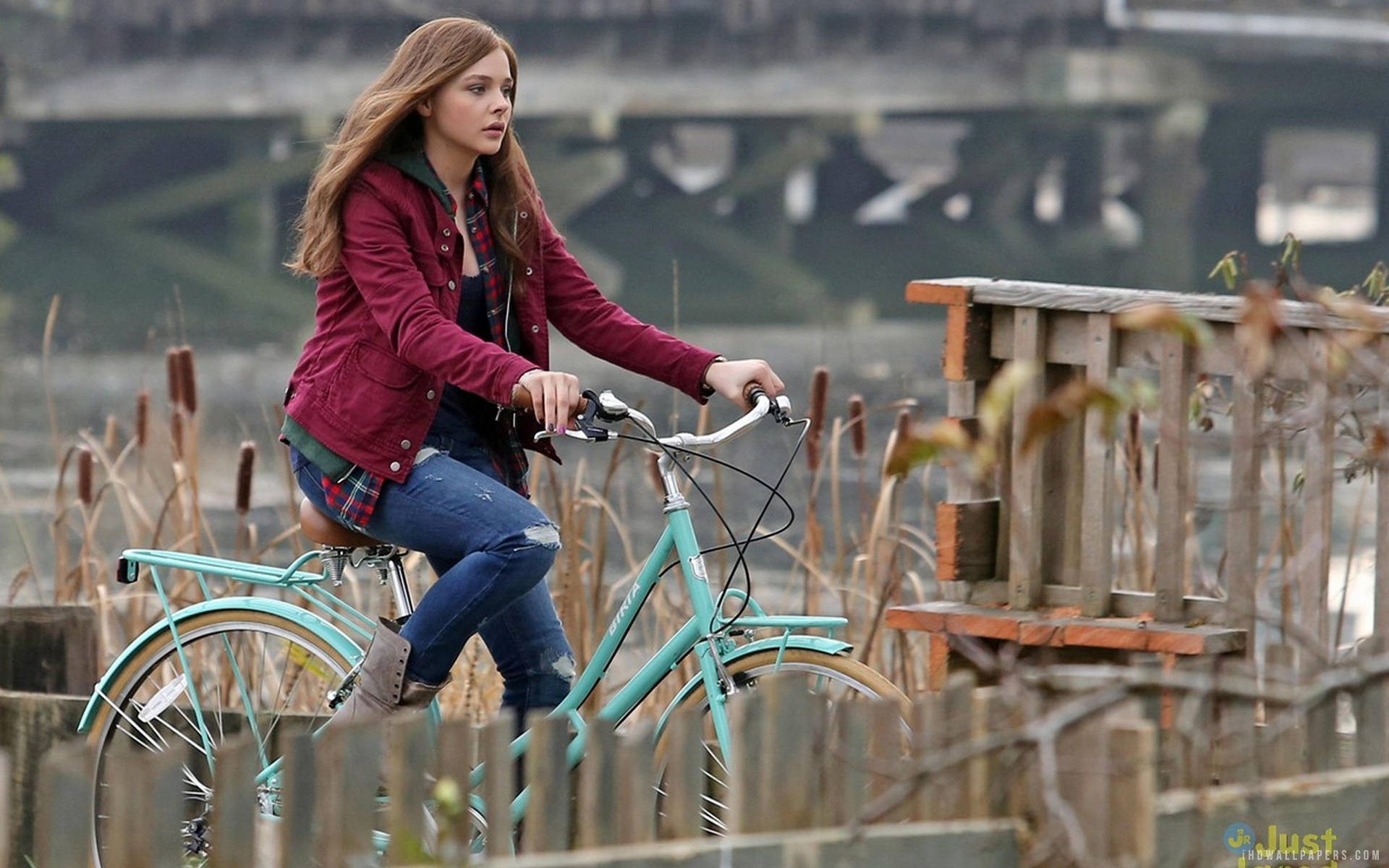 Chloëgrace Moretz En Bicicleta Fondo de pantalla
