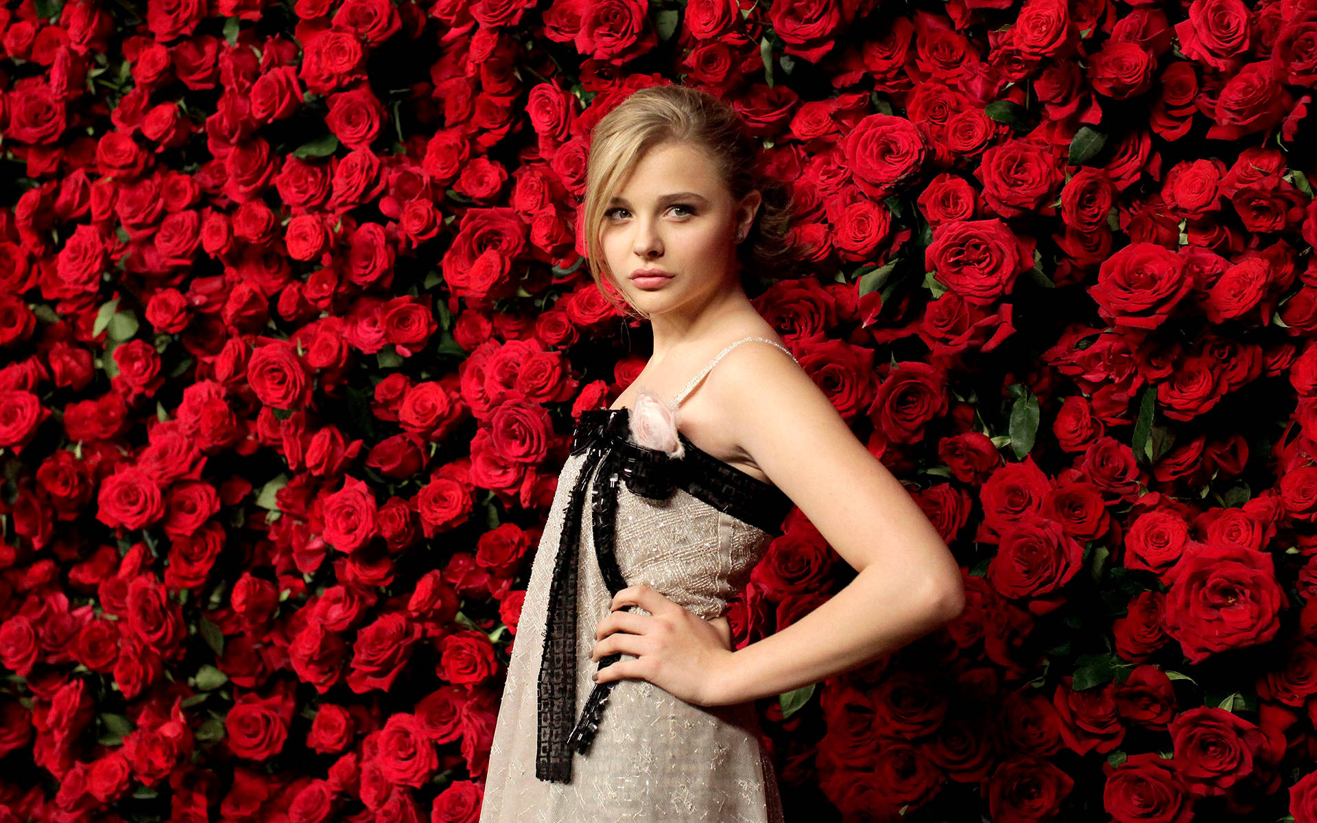 Chloë Grace Moretz med røde roser baggrundsbillede Wallpaper