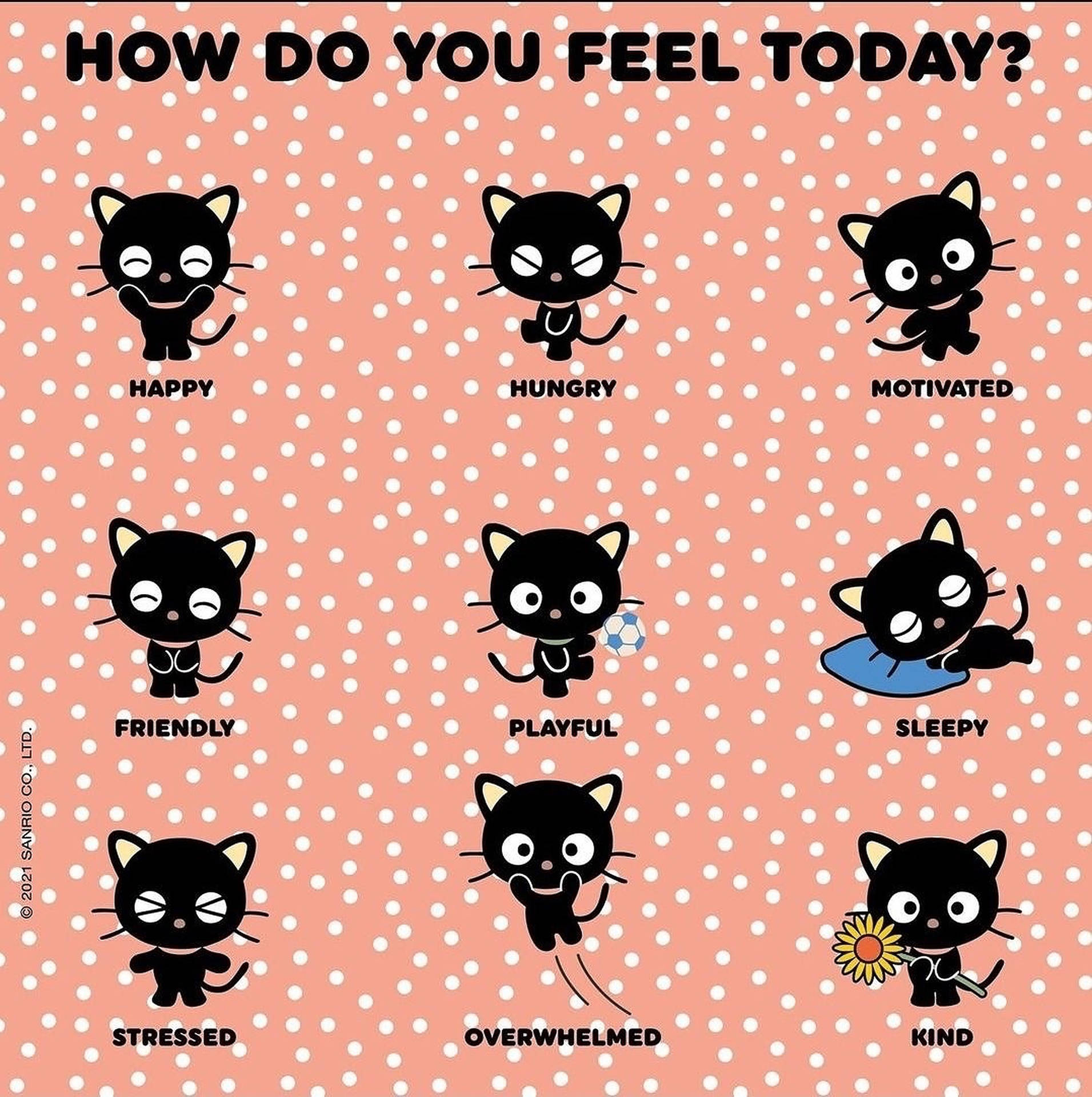 Chococat Different Moods Wallpaper