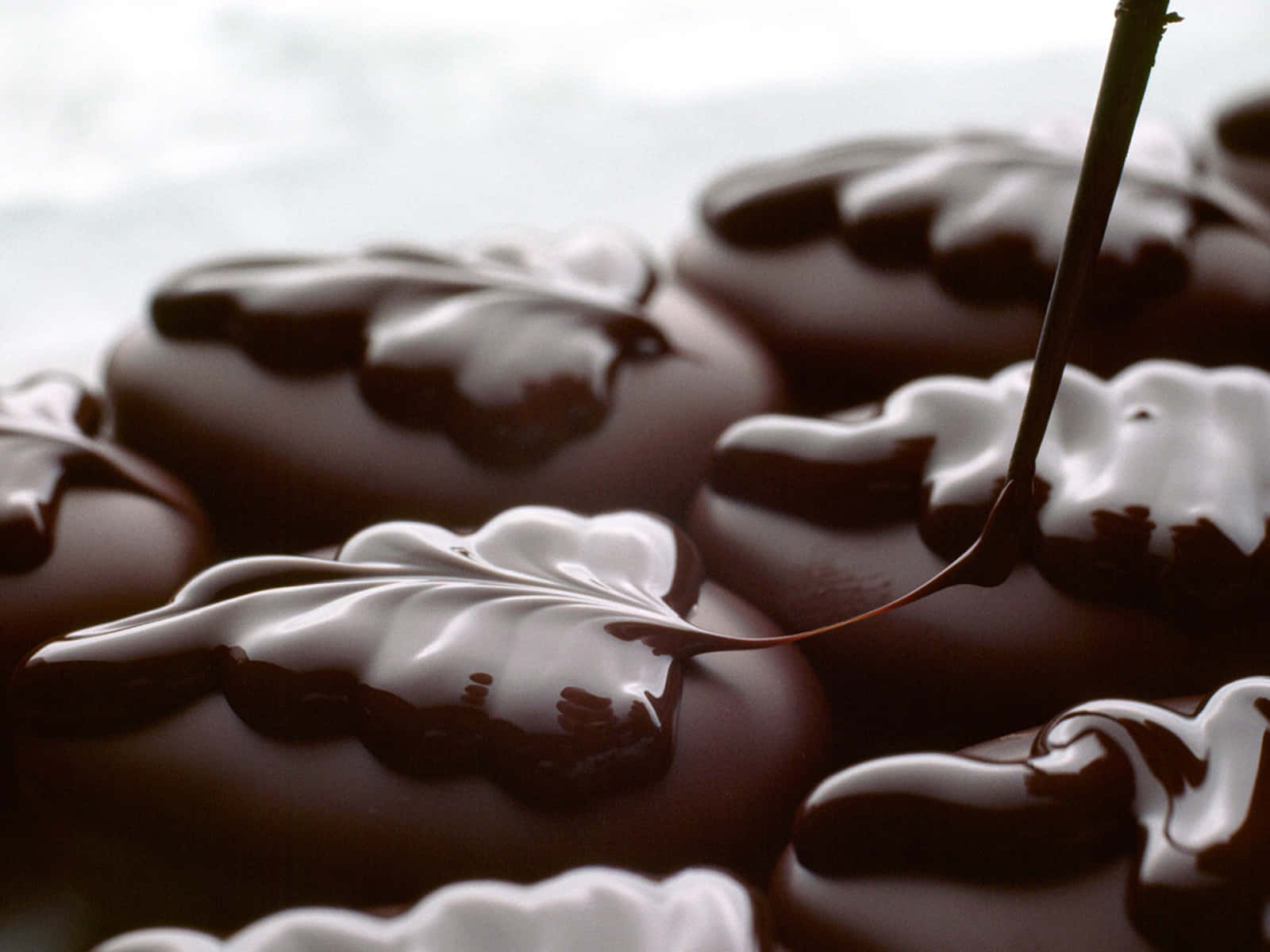 Deliziosopiacere Al Cioccolato Su Uno Sfondo Di Colore Cioccolato.