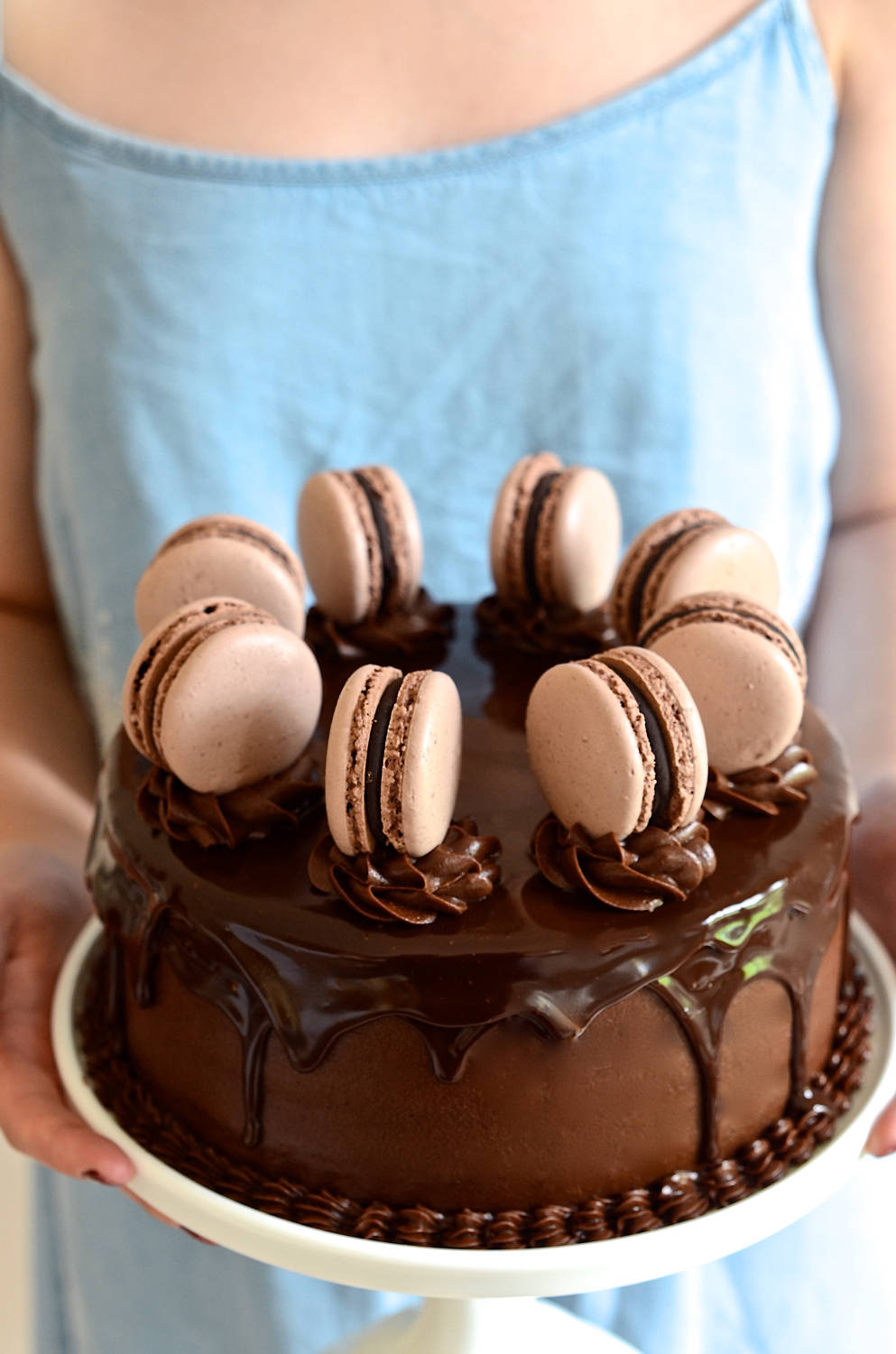 Delicious Dark Chocolate Cake with Macarons Wallpaper