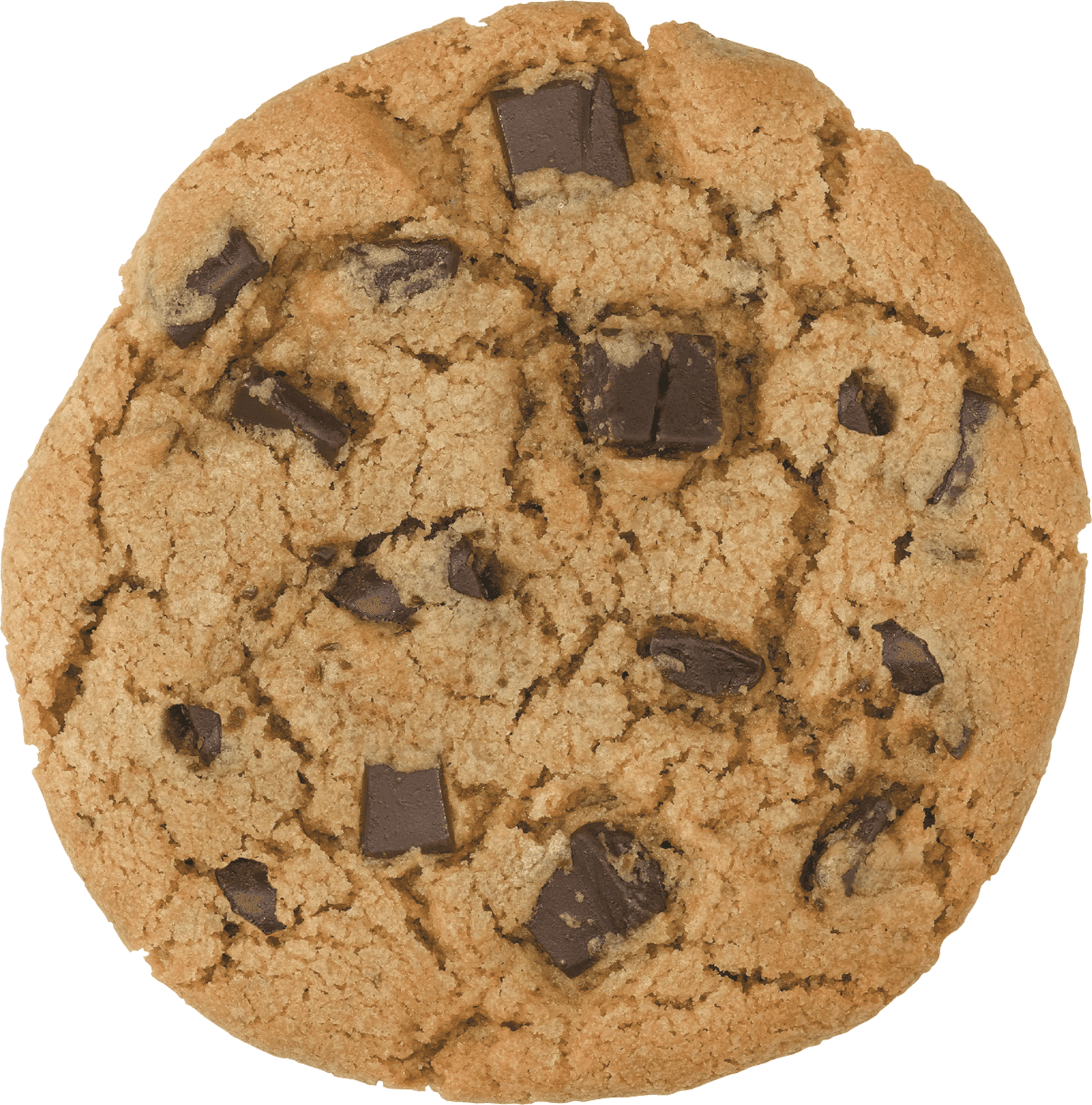 Chocolate Chip Cookie Top View.png PNG
