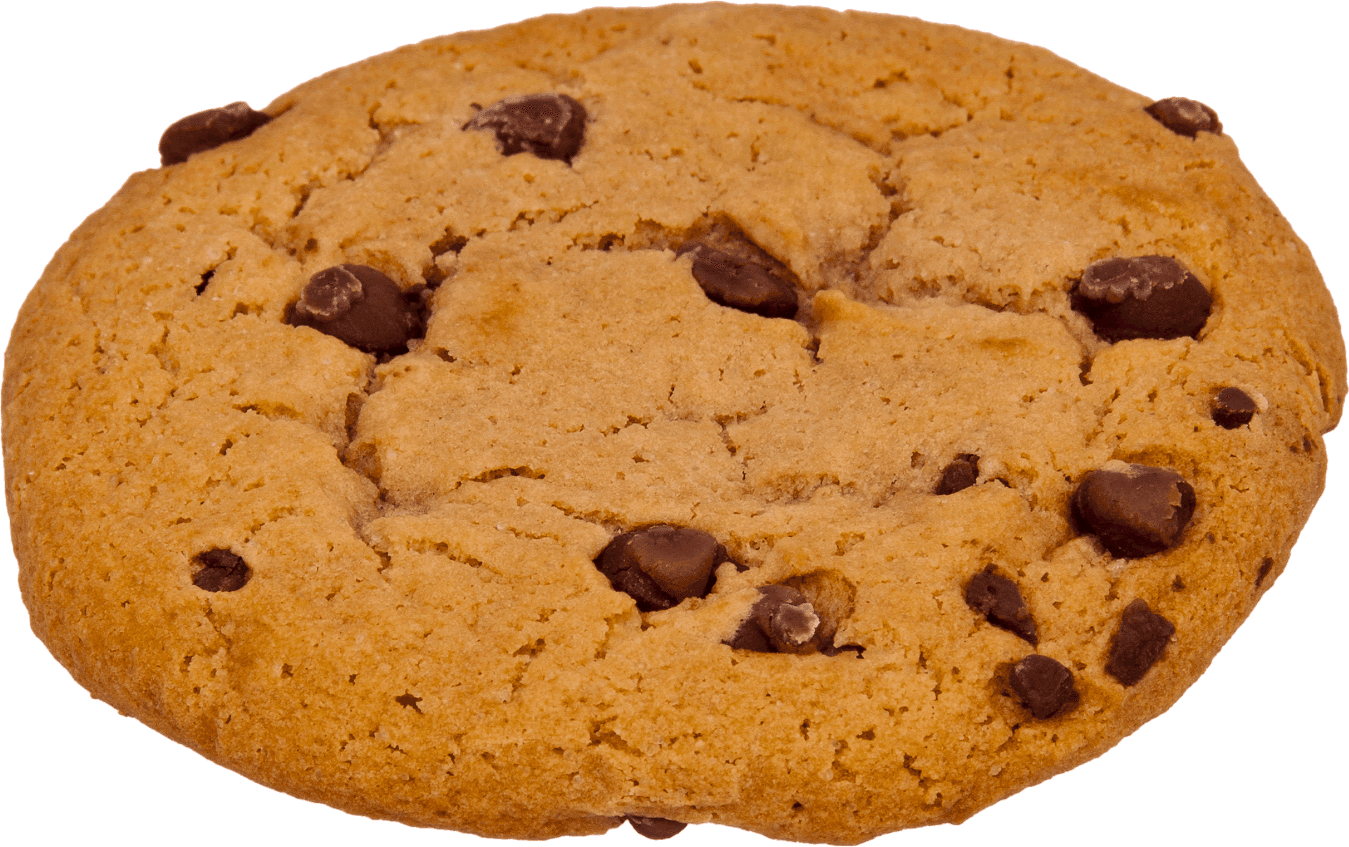 Chocolate Chip Cookie Transparent Background PNG