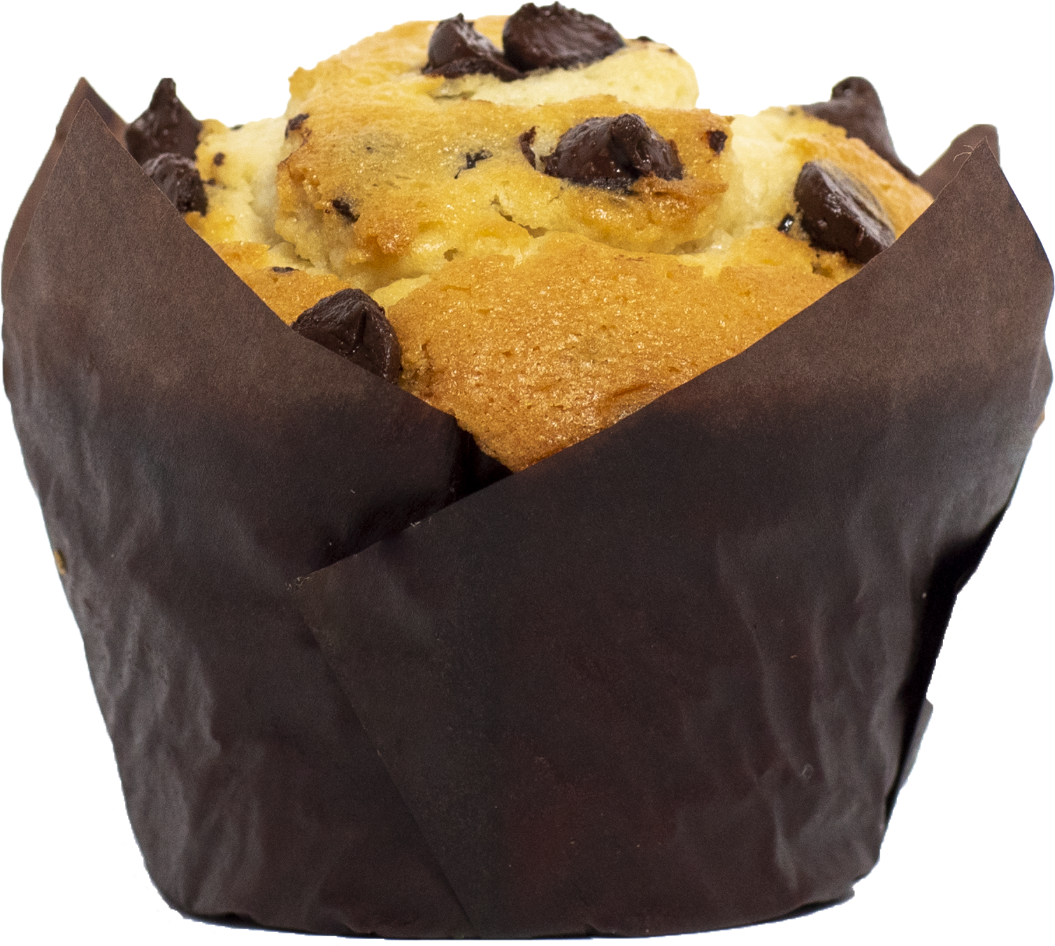 Chocolate Chip Muffin Isolated PNG