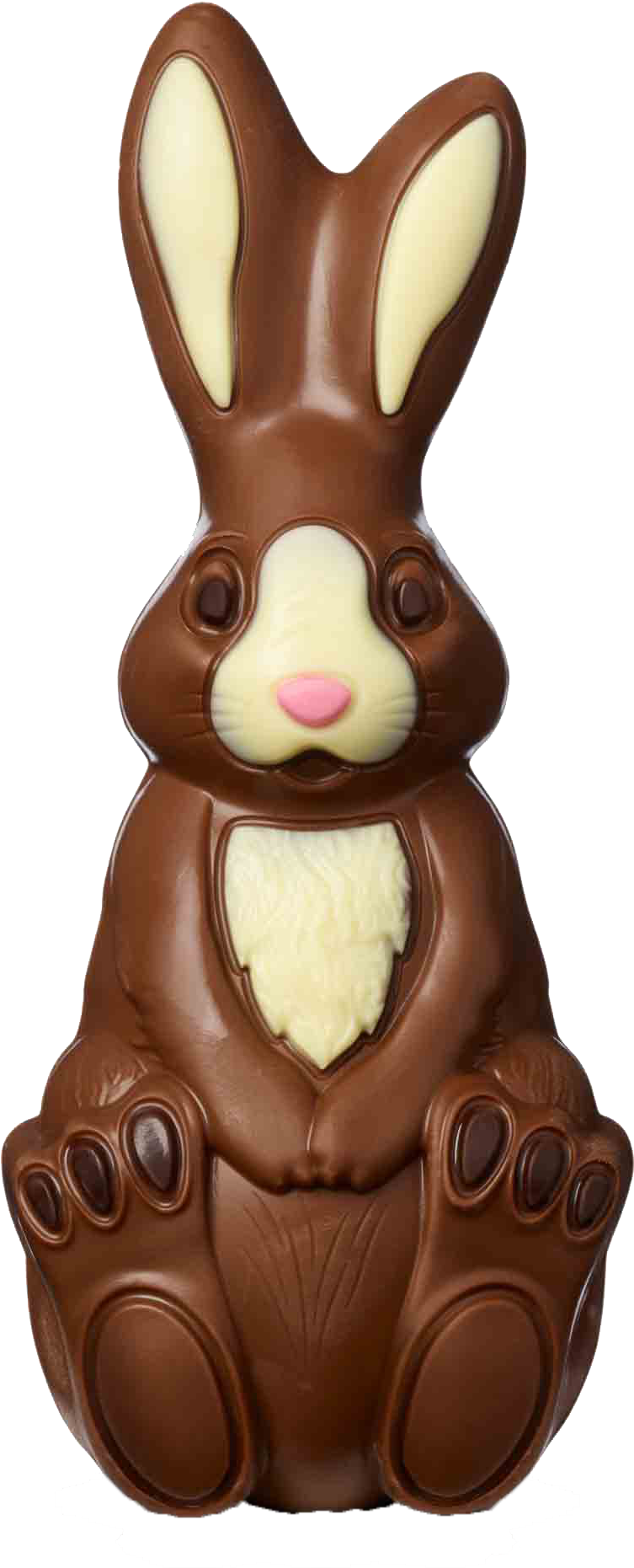 Chocolate Easter Bunny PNG