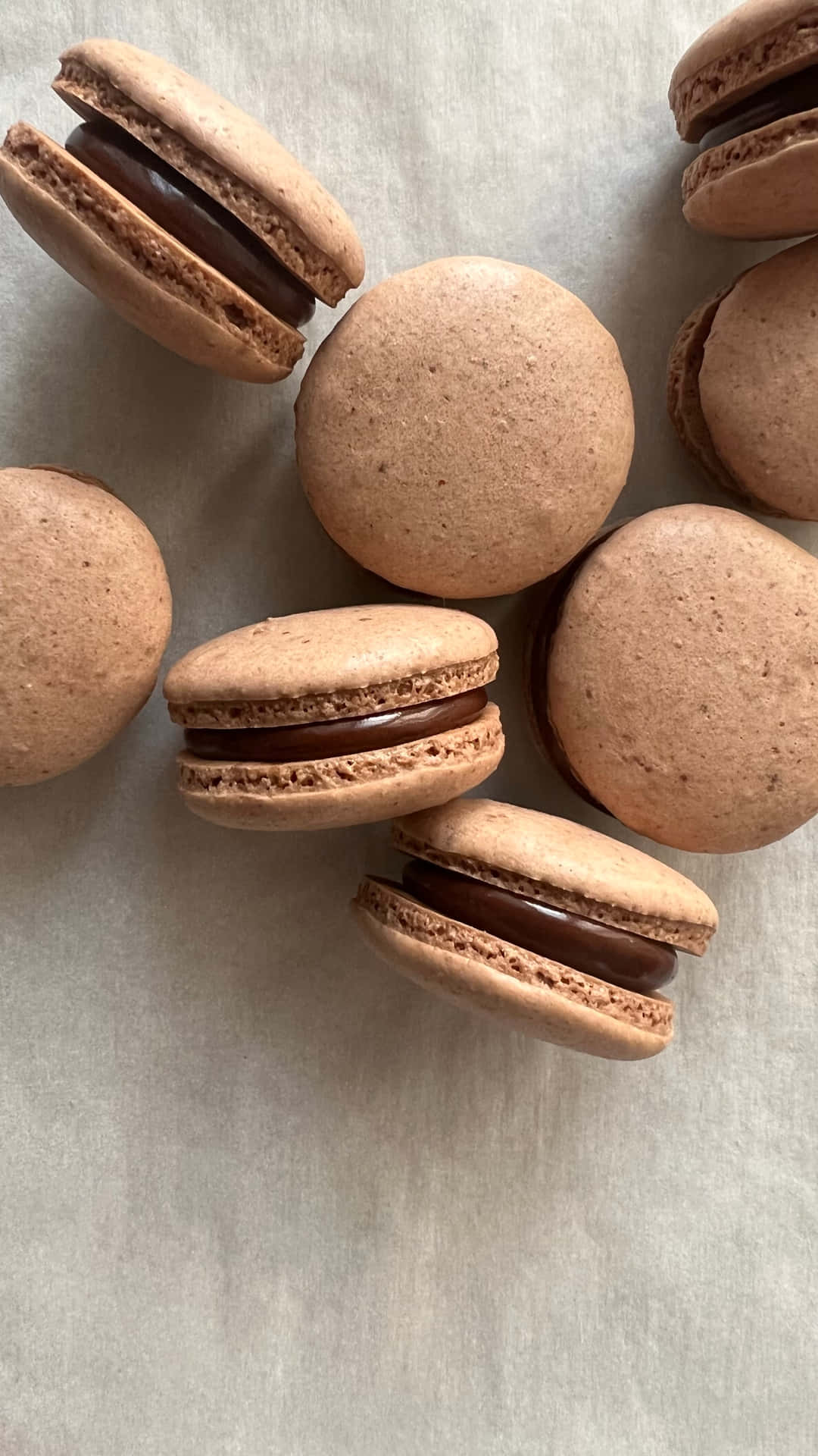 Chocolate French Macaron With Chocolate Filling Wallpaper