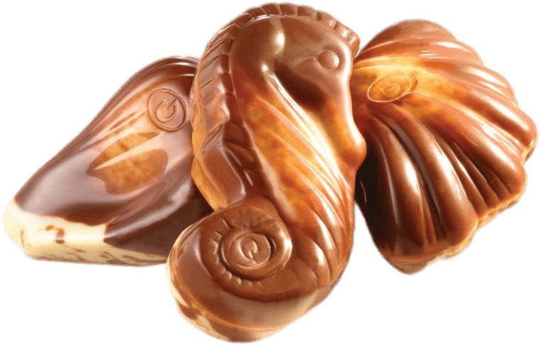 Chocolate Seashells Collection PNG