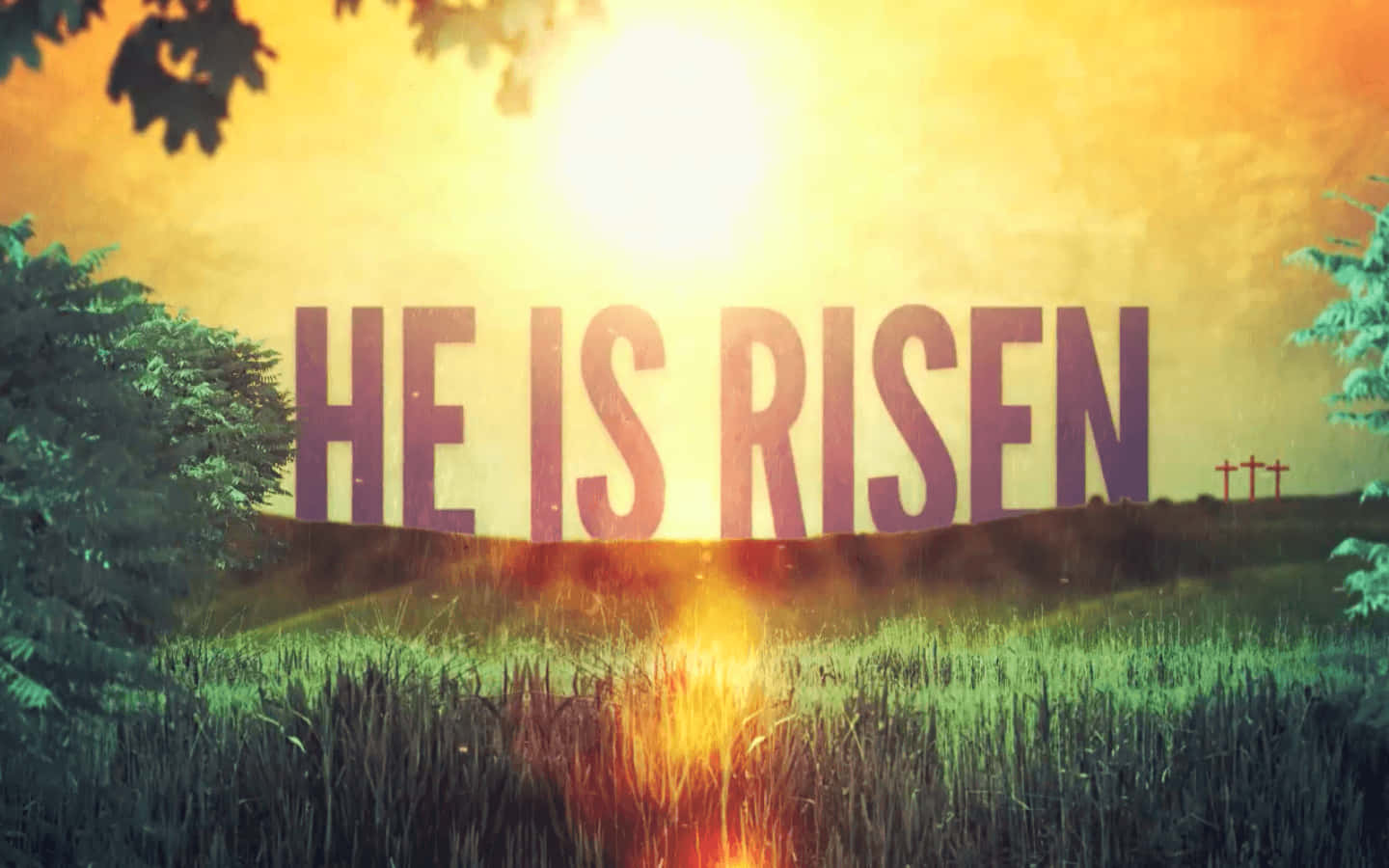 Easter Greeting Of “christ Is Risen” Wallpaper