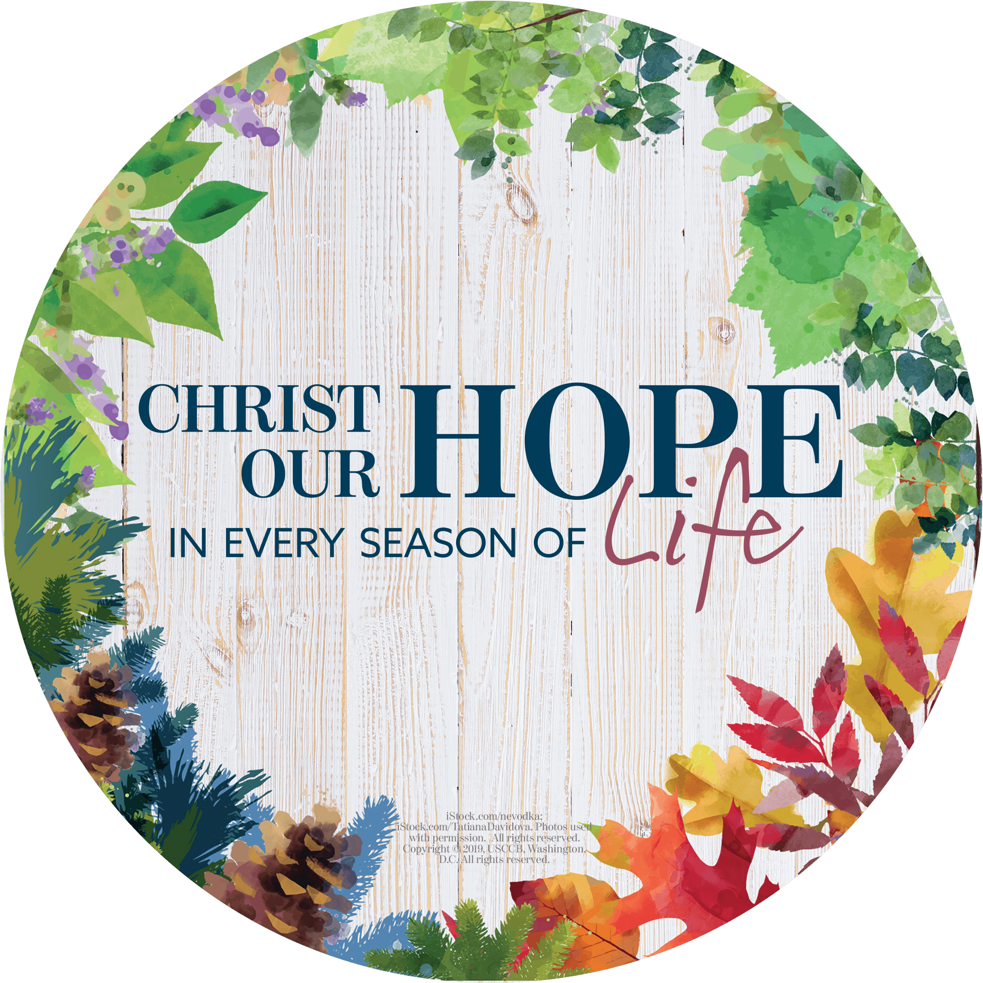 Christ Our Hope Seasonal Message PNG