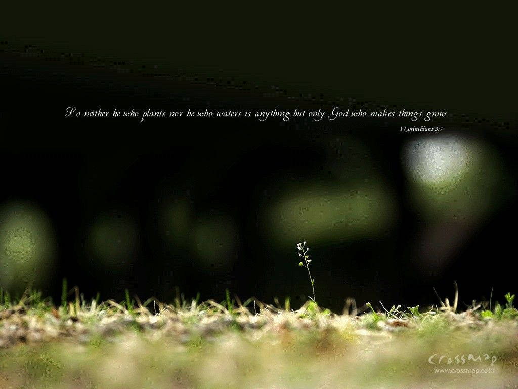 Christian Bible Verse With Plant Background