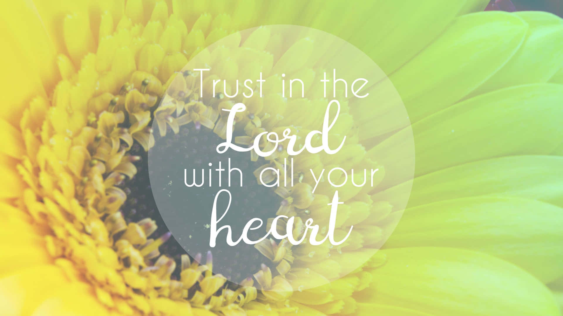 Trust In The Lord With All Your Heart Wallpaper