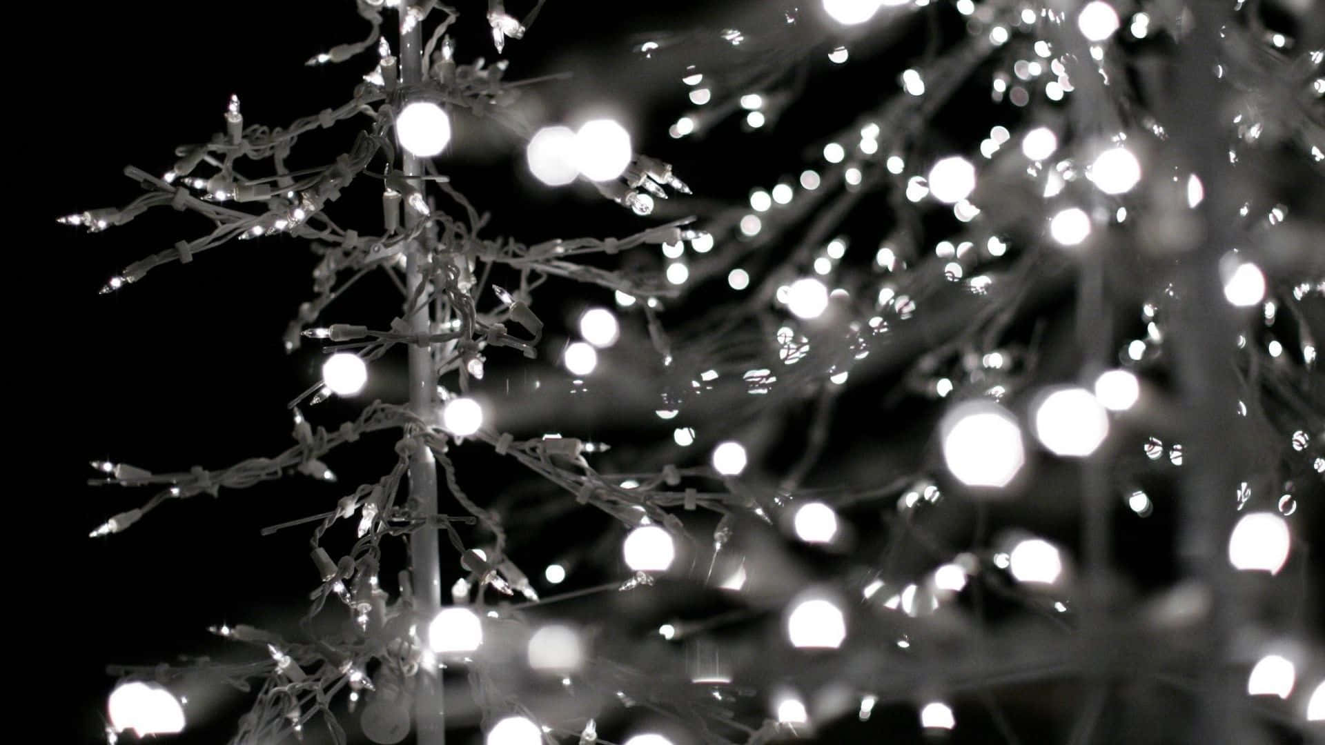 a tree with white lights on it Wallpaper