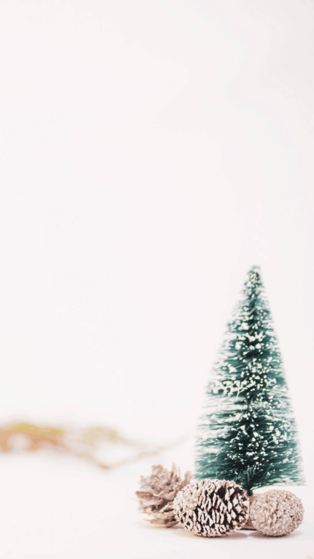 Christmas Aesthetic Pine Tree Cones Wallpaper