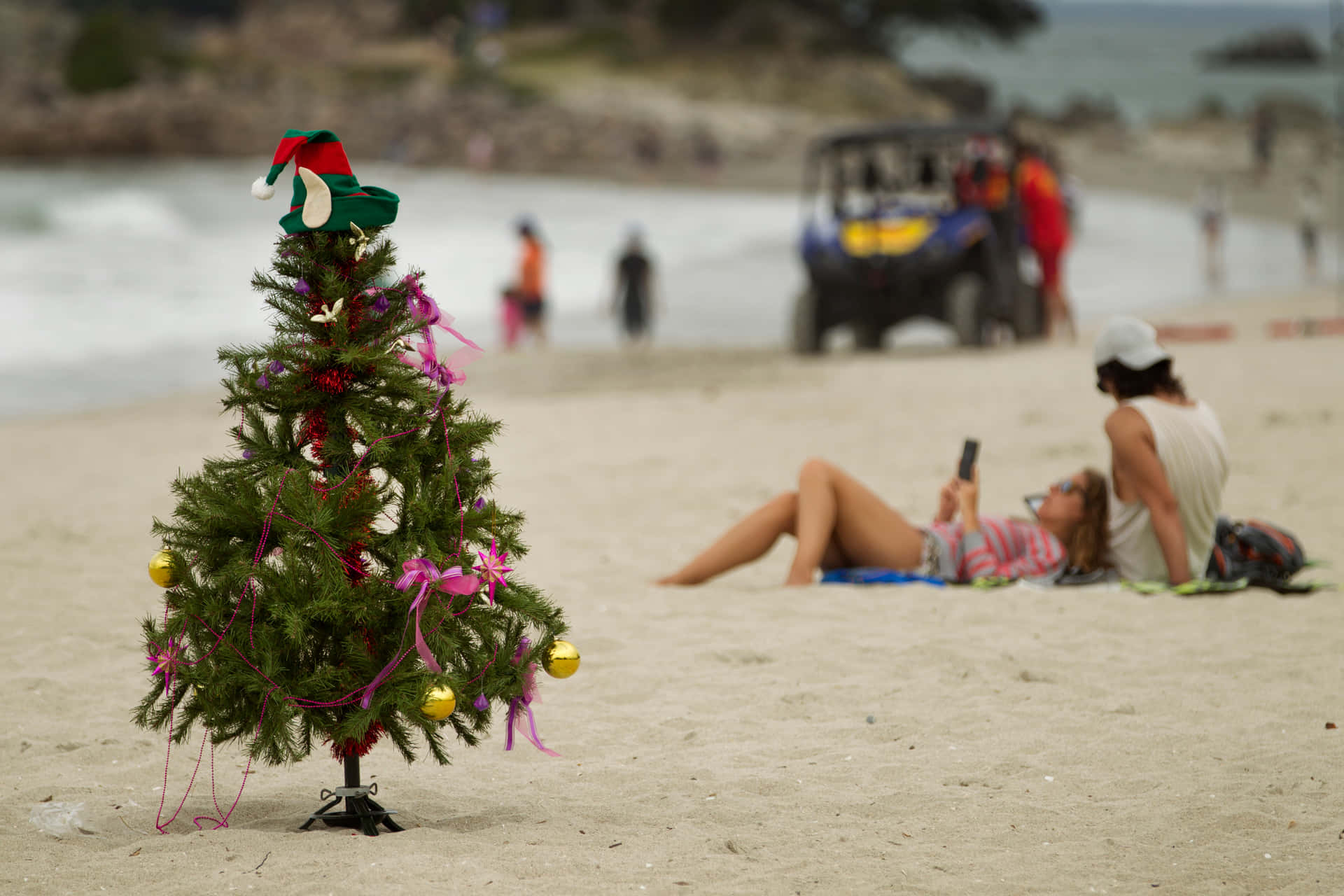 Imágenesde Árboles De Navidad En La Playa