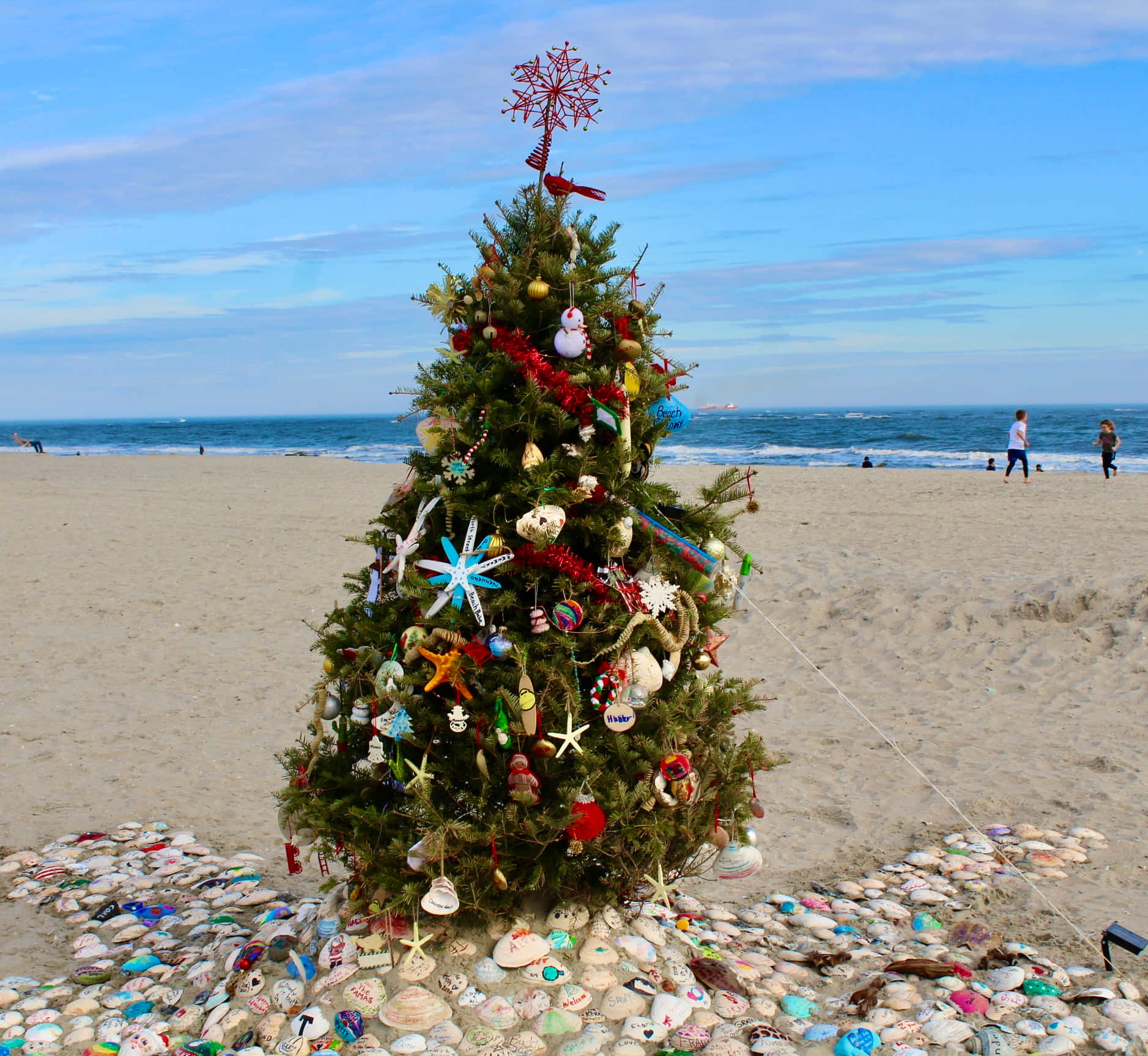 Christmas Tree On Beach Pictures