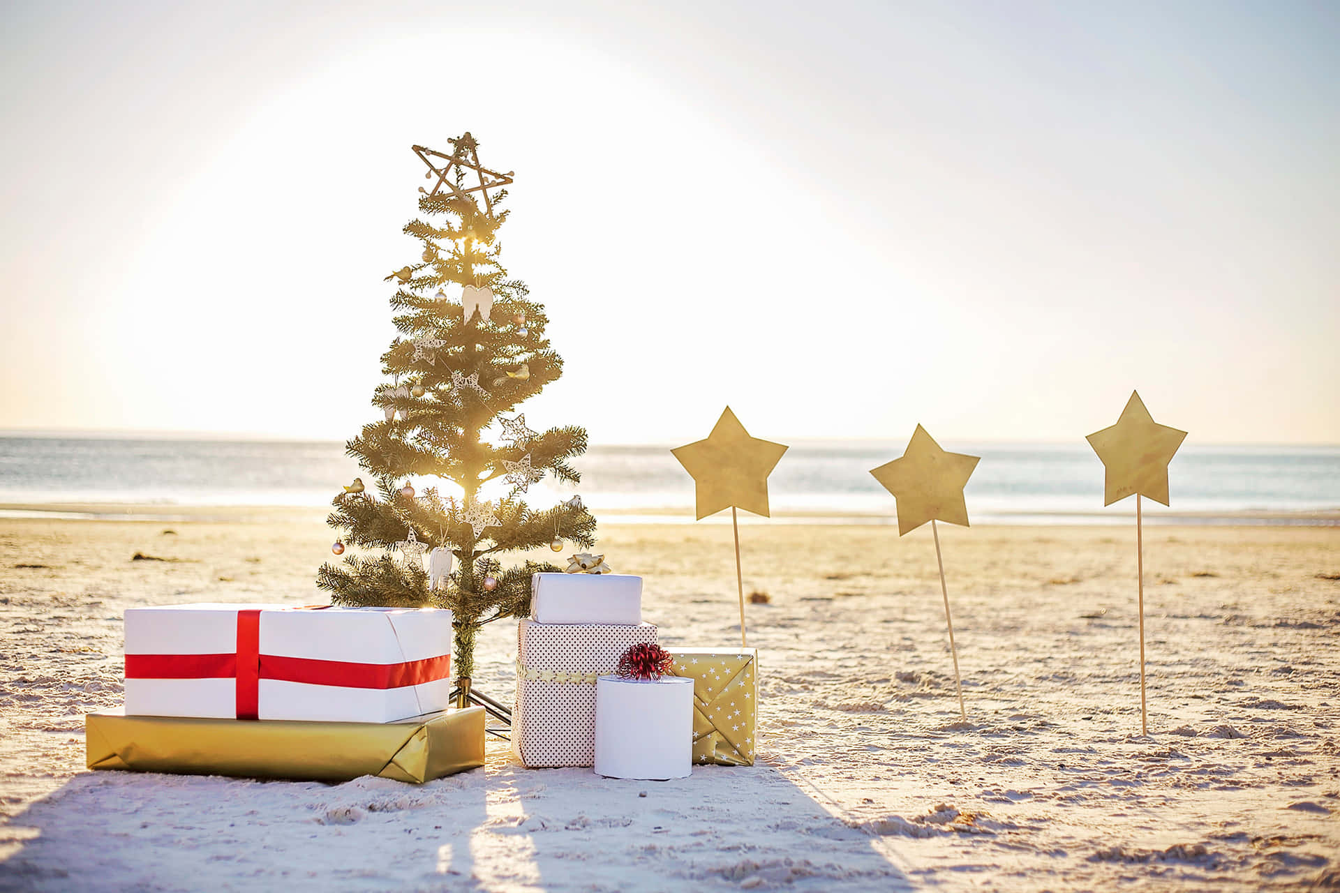 Imágenesde Árboles De Navidad En La Playa
