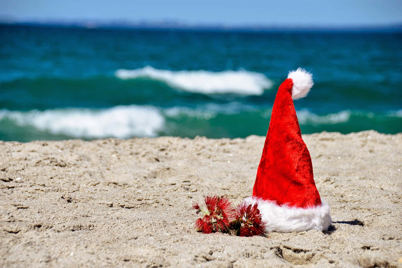 Christmas Hat On Beach Pictures