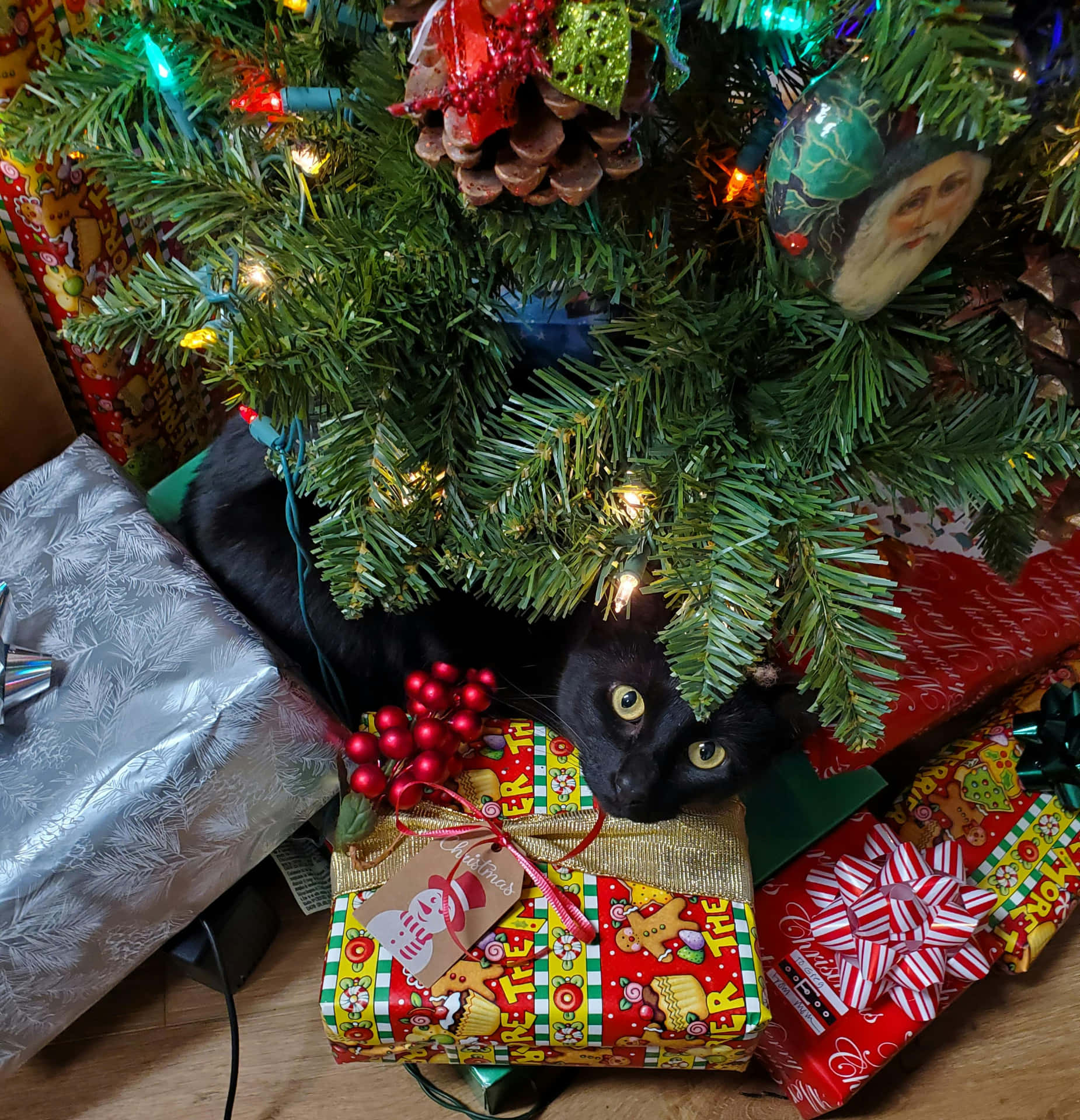 Christmas Cat Hiding Among Gifts.jpg Wallpaper