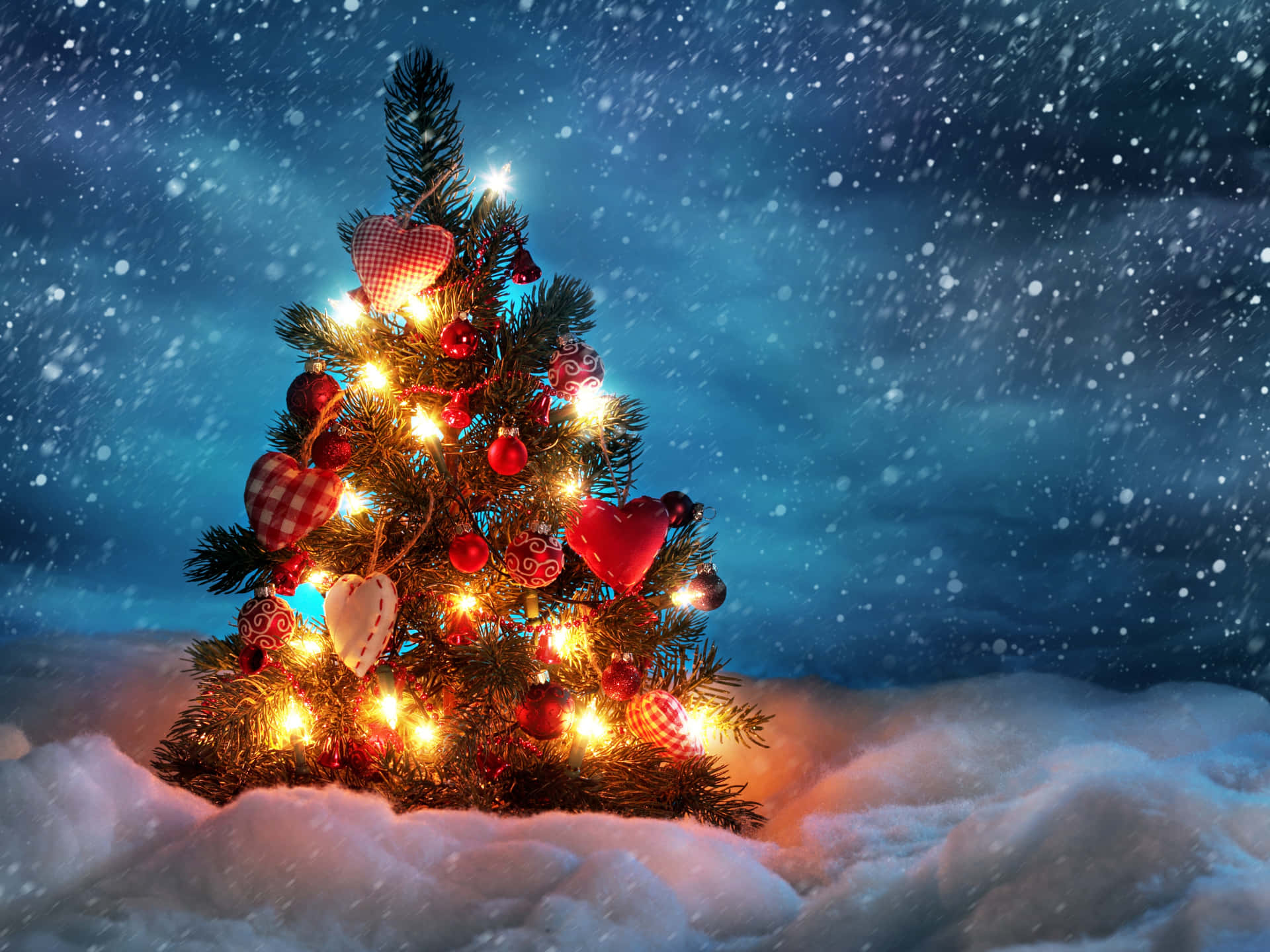 Einweihnachtsbaum Im Schnee Mit Lichtern Darauf. Wallpaper