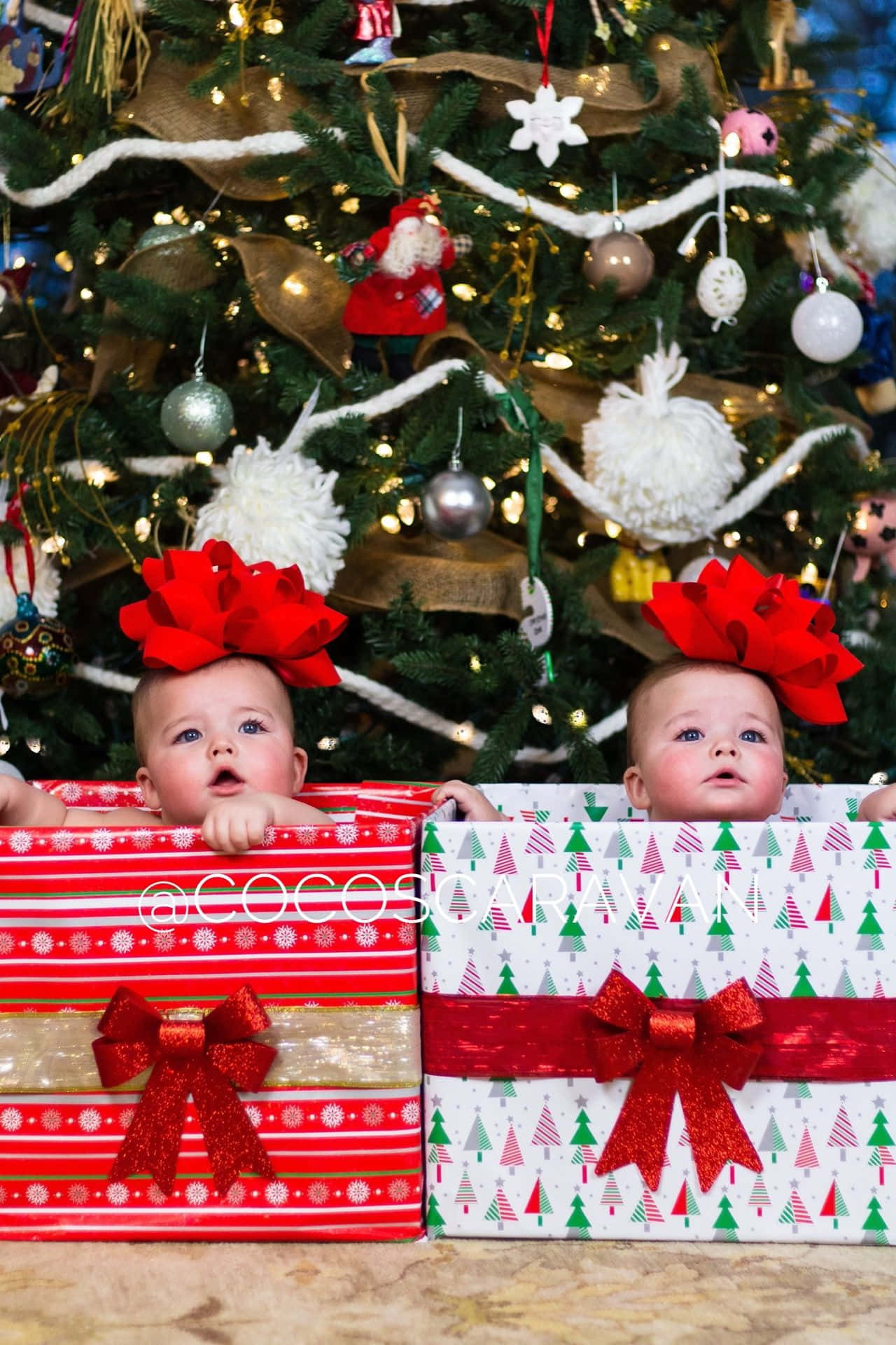 Christmas Family Cute Babies As Presents Pictures