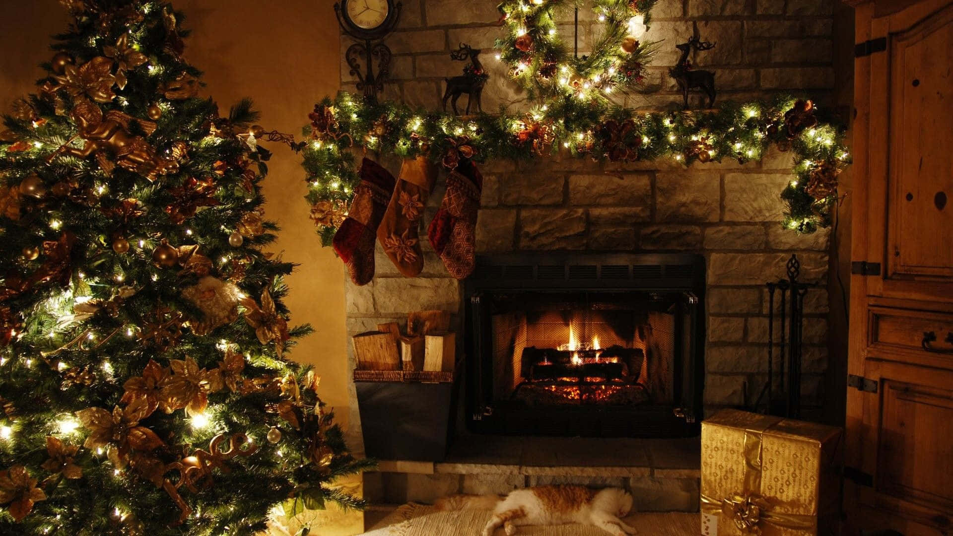 Christmas Fireplace With Sleeping Cat Background