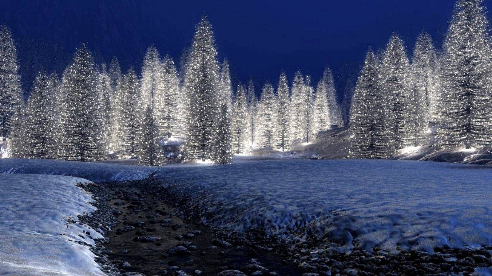 Árbolesde Pino Blanco En Un Bosque De Navidad. Fondo de pantalla