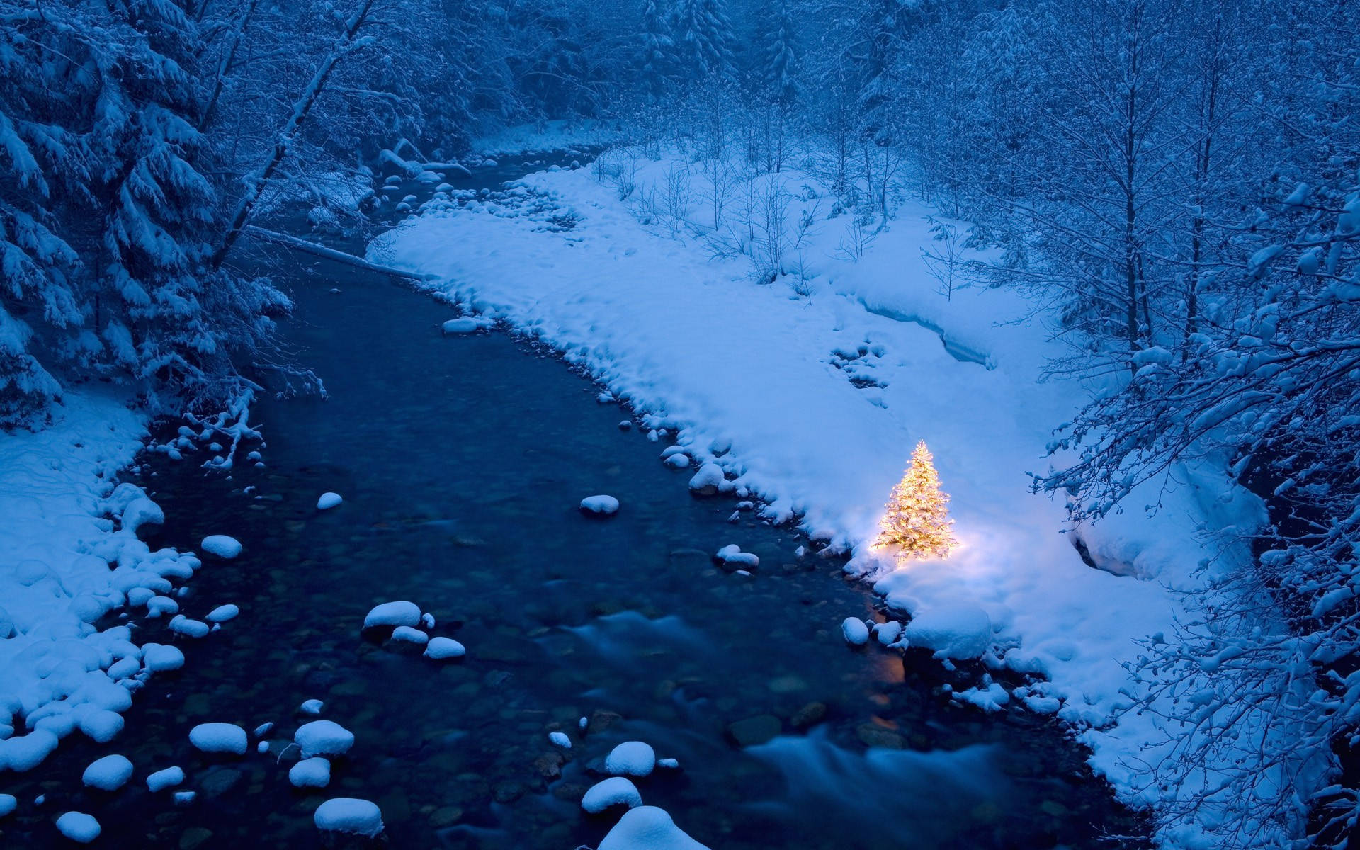 Freezing River In The Christmas Forest Wallpaper