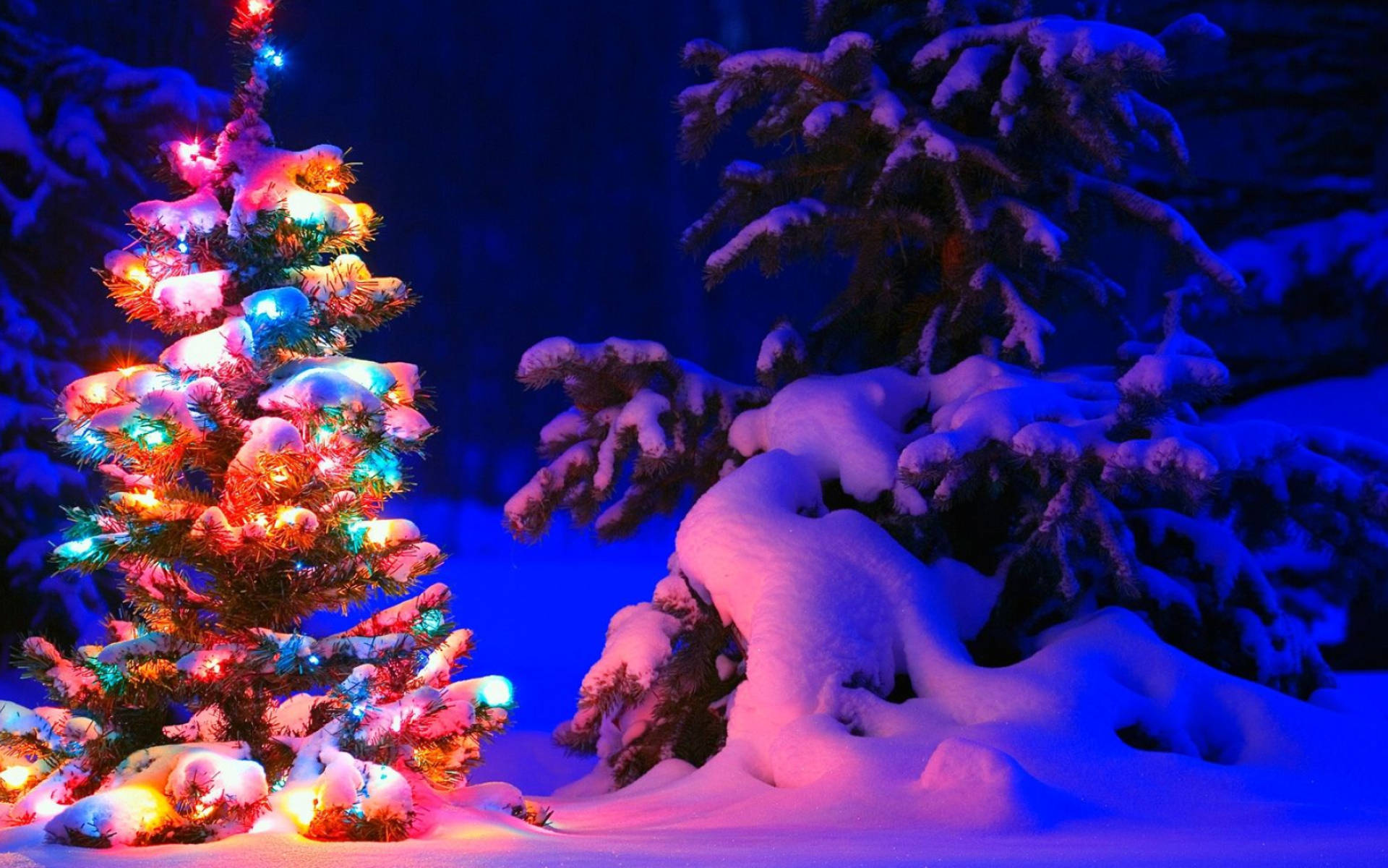 Juletræ i sneen med lys Wallpaper