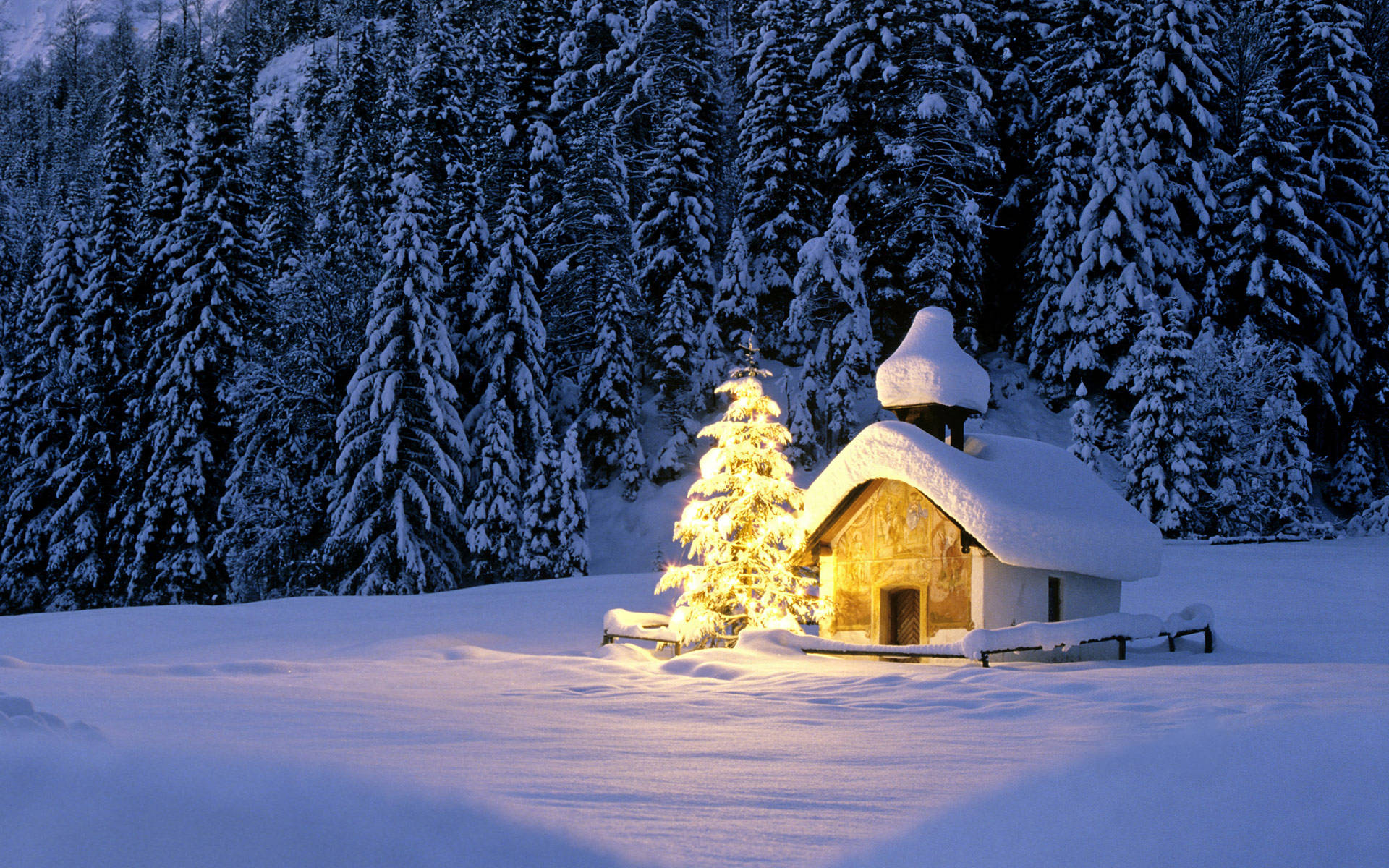 Cabin By A Christmas Forest Wallpaper
