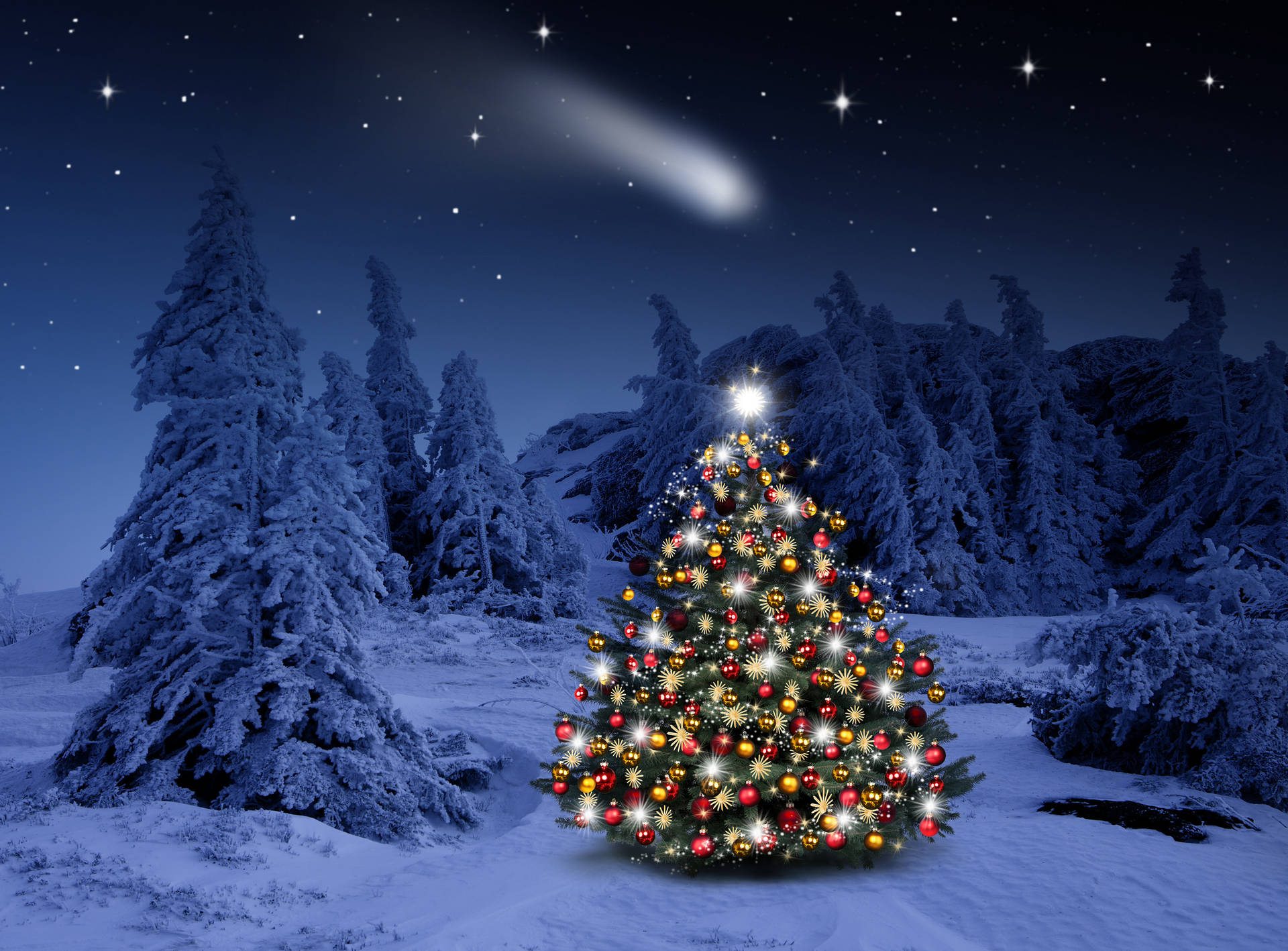 Meteor Passing By A Christmas Forest Wallpaper