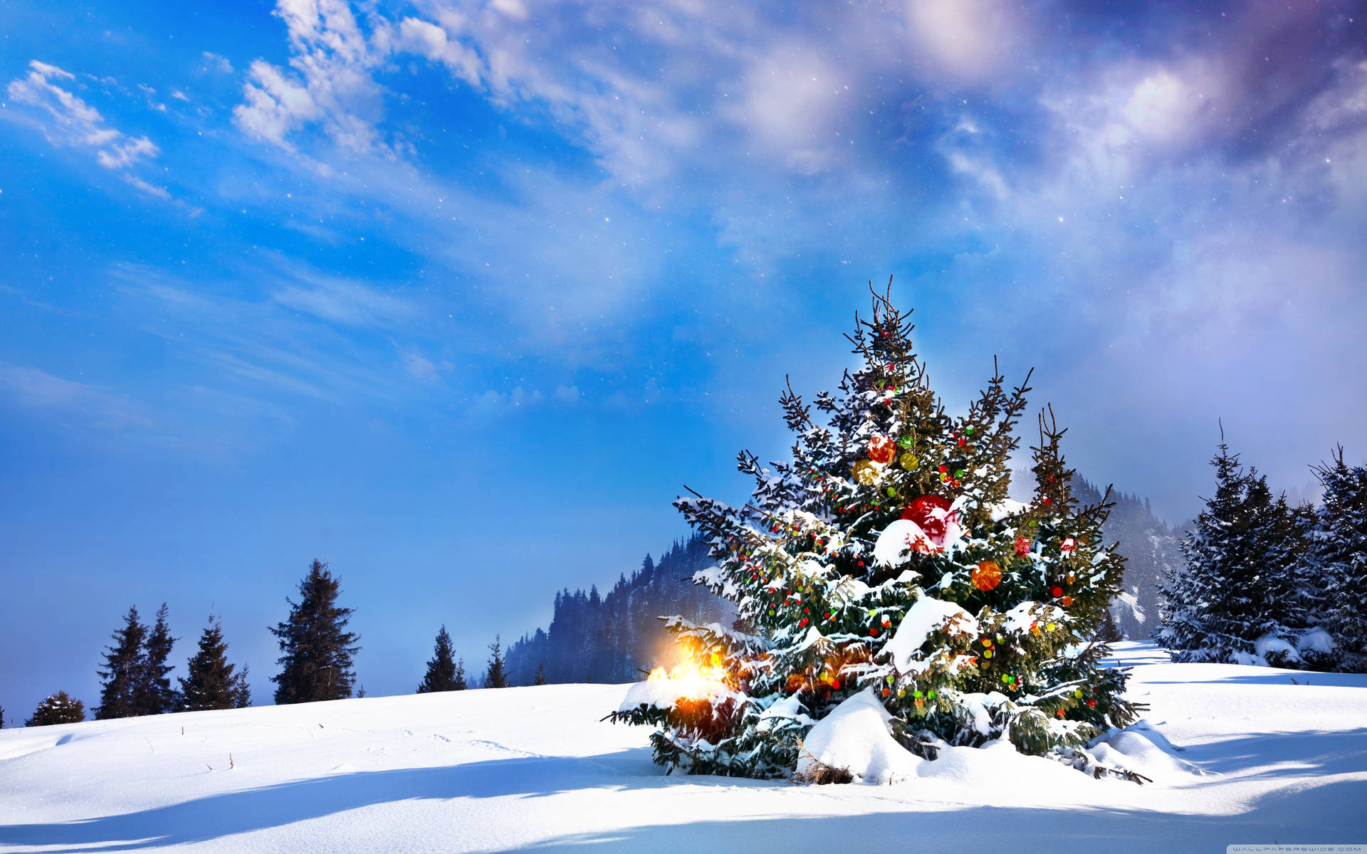 Blue Skies Above Christmas Forest Wallpaper
