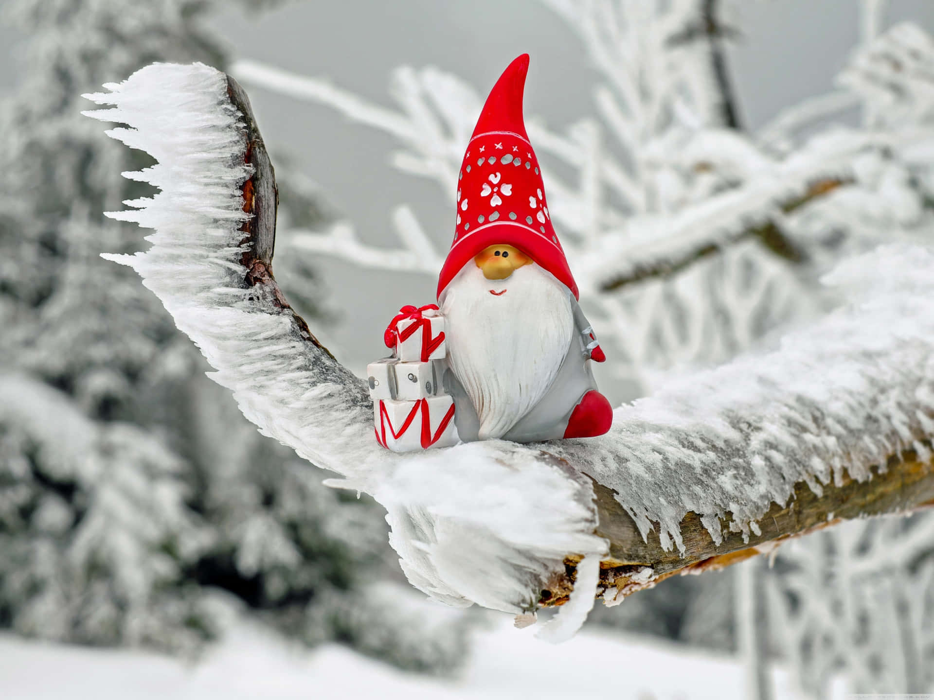 A Gnome Sitting On A Branch With Snow On It Wallpaper