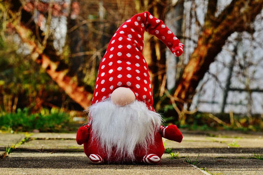 A festive Christmas gnome enjoying the holiday season. Wallpaper