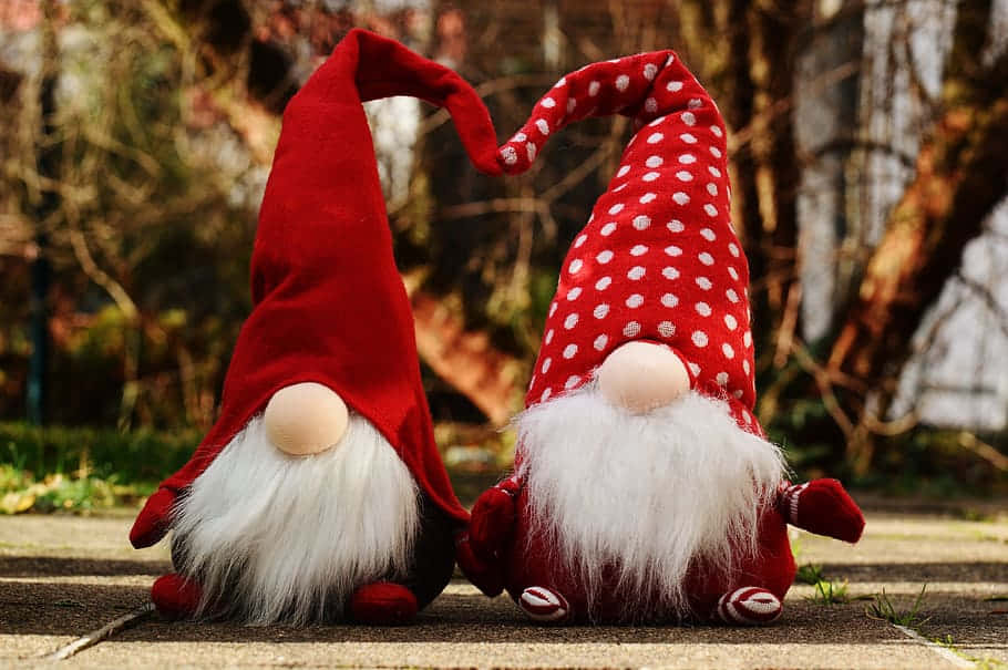 Celebrale Vacanze Con Un Gnome Di Natale Sfondo