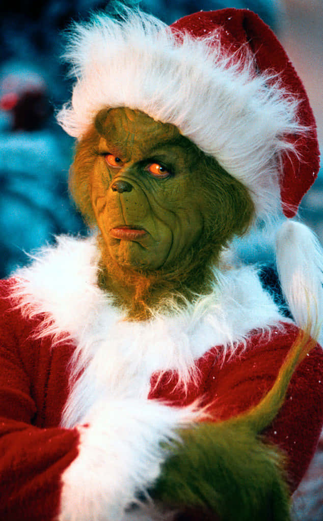 Christmas Grinch Zoomed-In Picture