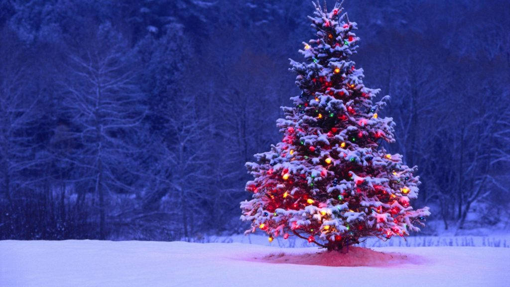 Christmas Holiday Desktop Tree In Snow Wallpaper