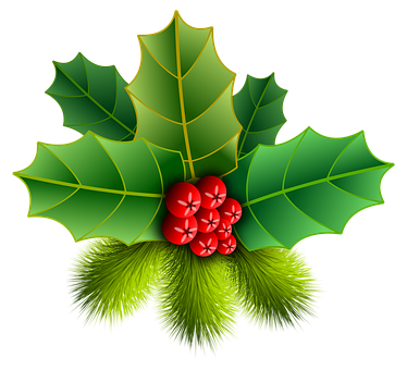 Christmas Holly Berries Illustration PNG