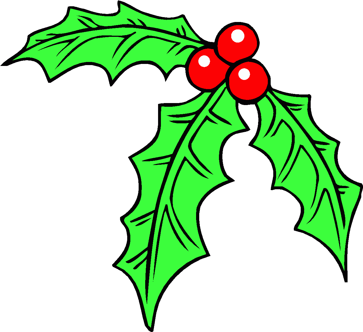 Christmas Holly Clipart PNG