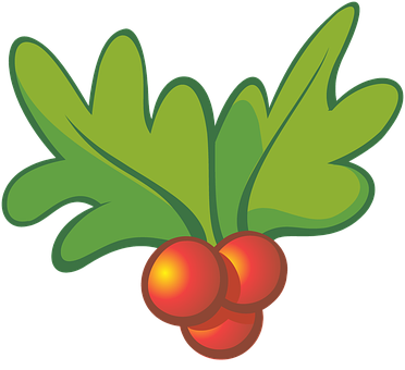 Christmas Holly Illustration PNG