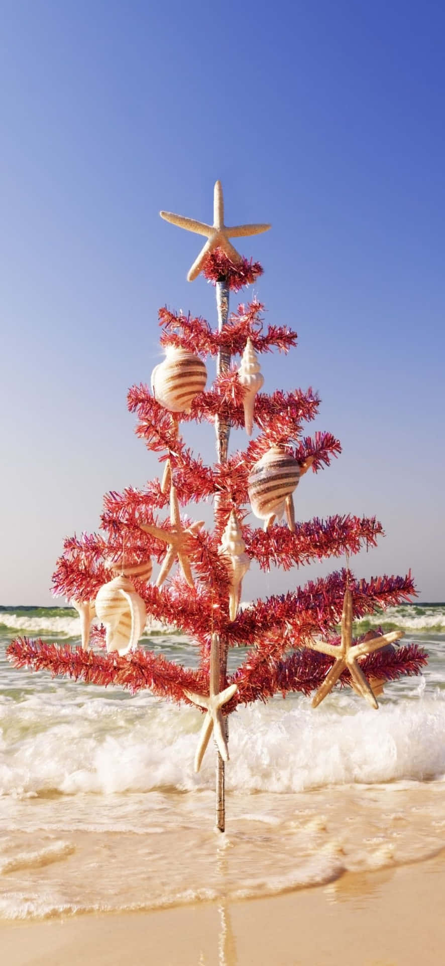 A Christmas Tree On The Beach With Starfish And Shells