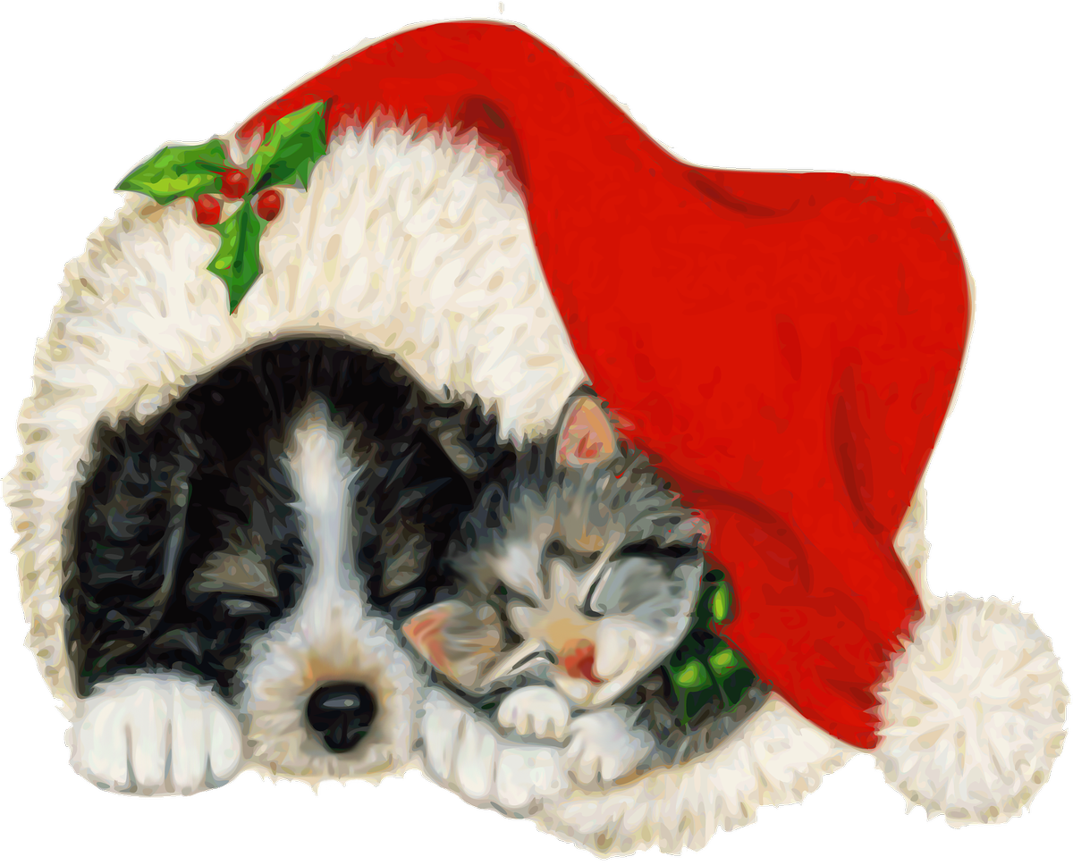 Christmas Kittenand Puppy Napping PNG