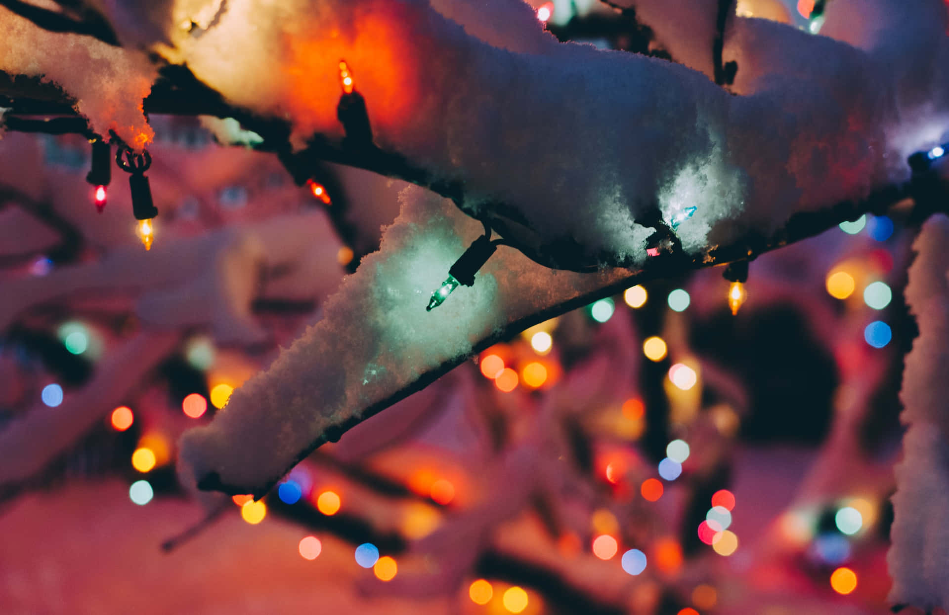 Enjoy the holiday season with beautiful Christmas lights